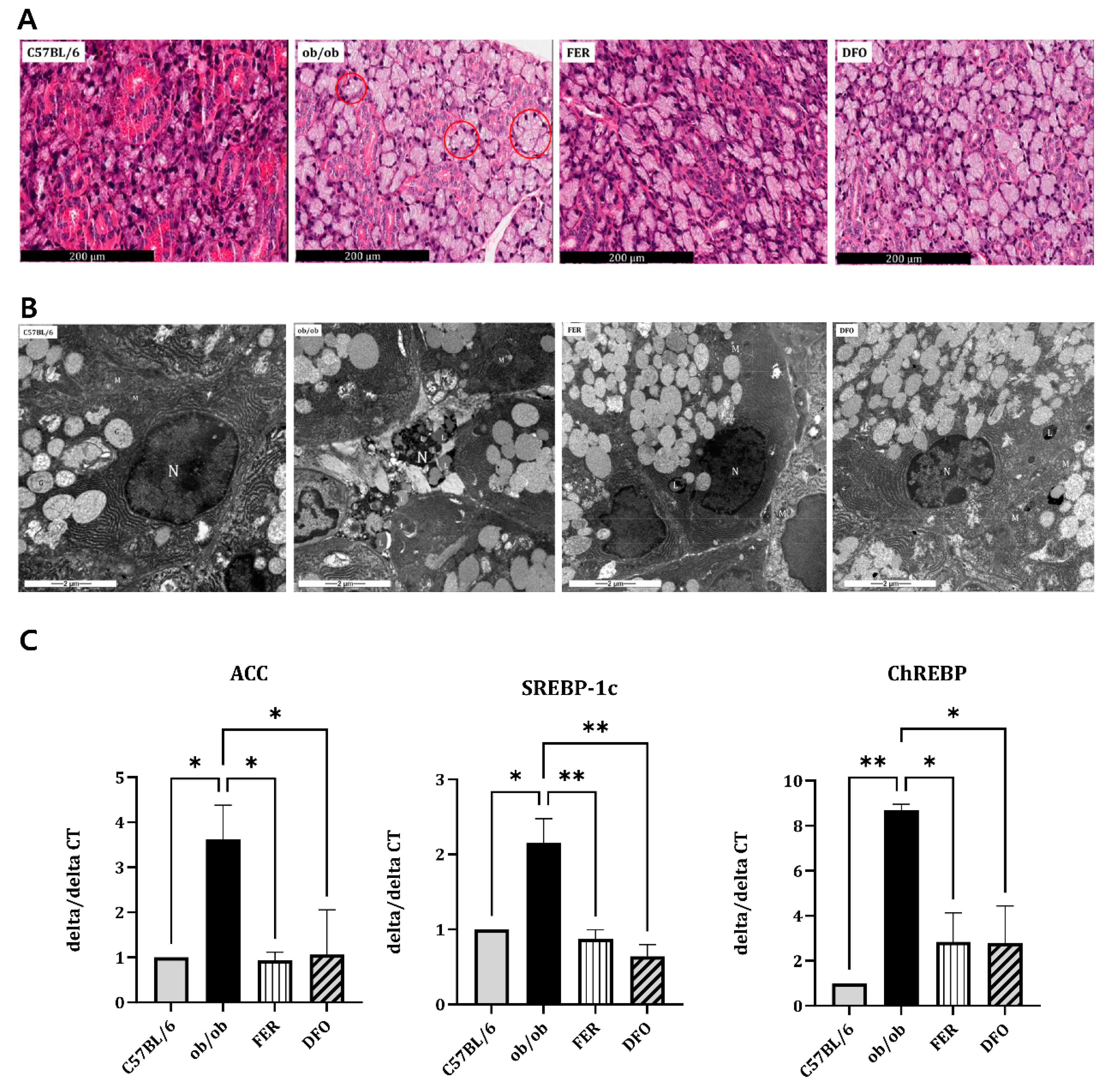 Preprints 189097 g002