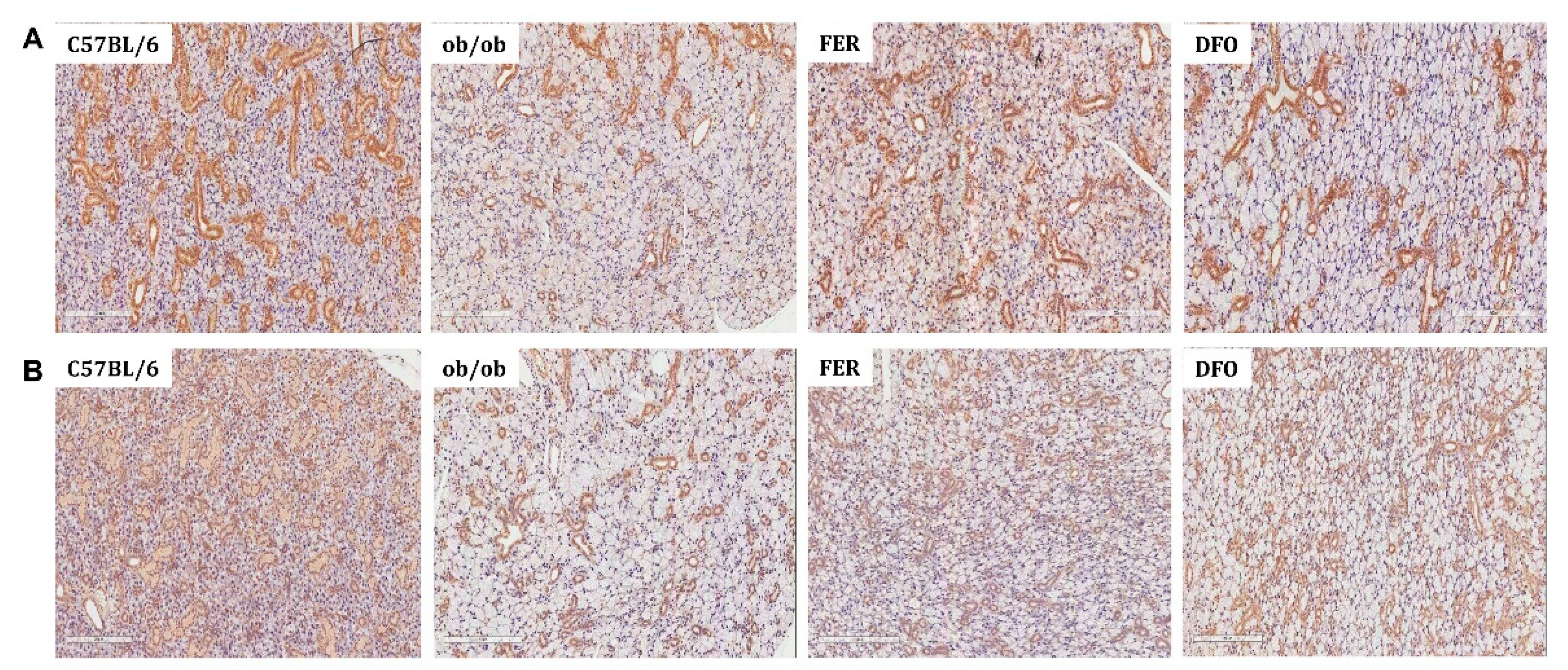 Preprints 189097 g005