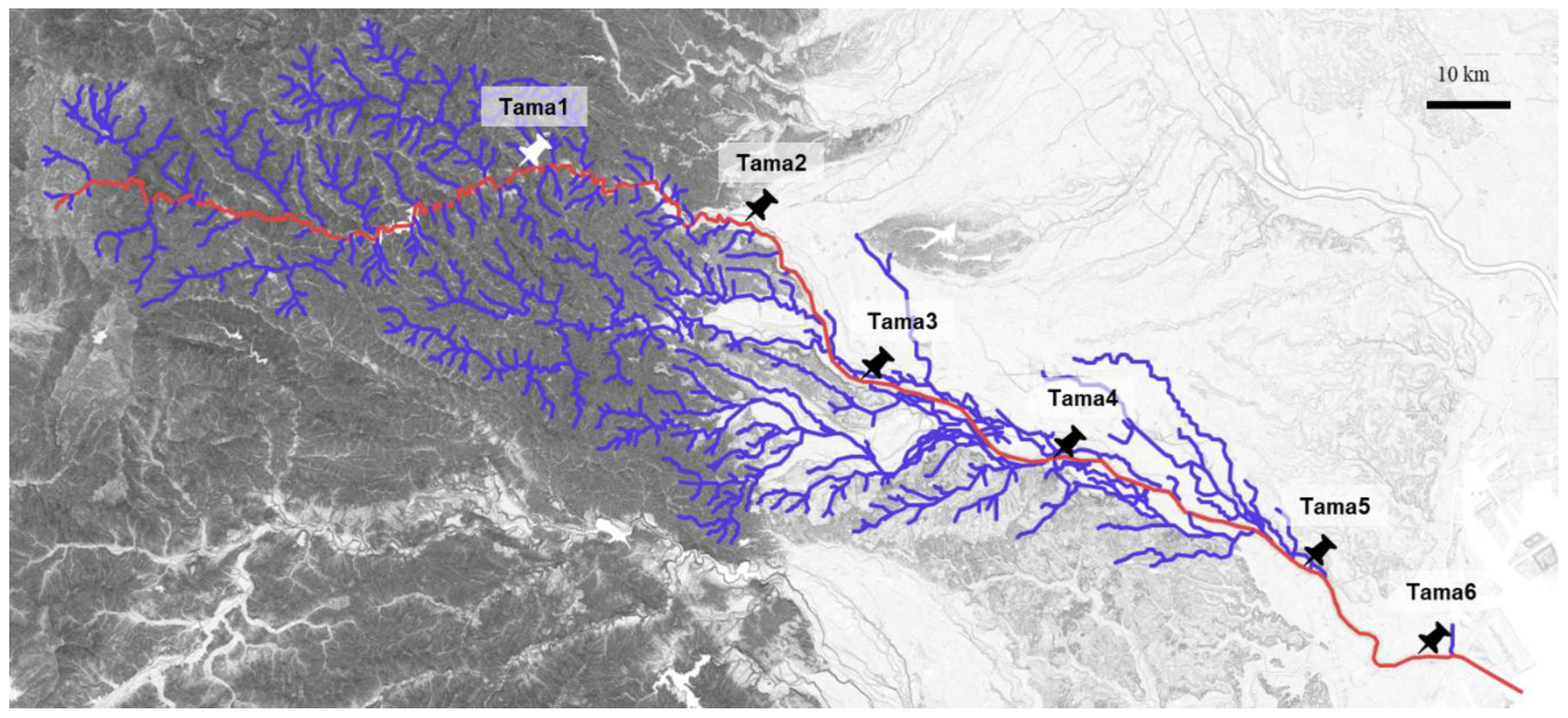 Preprints 196433 g001