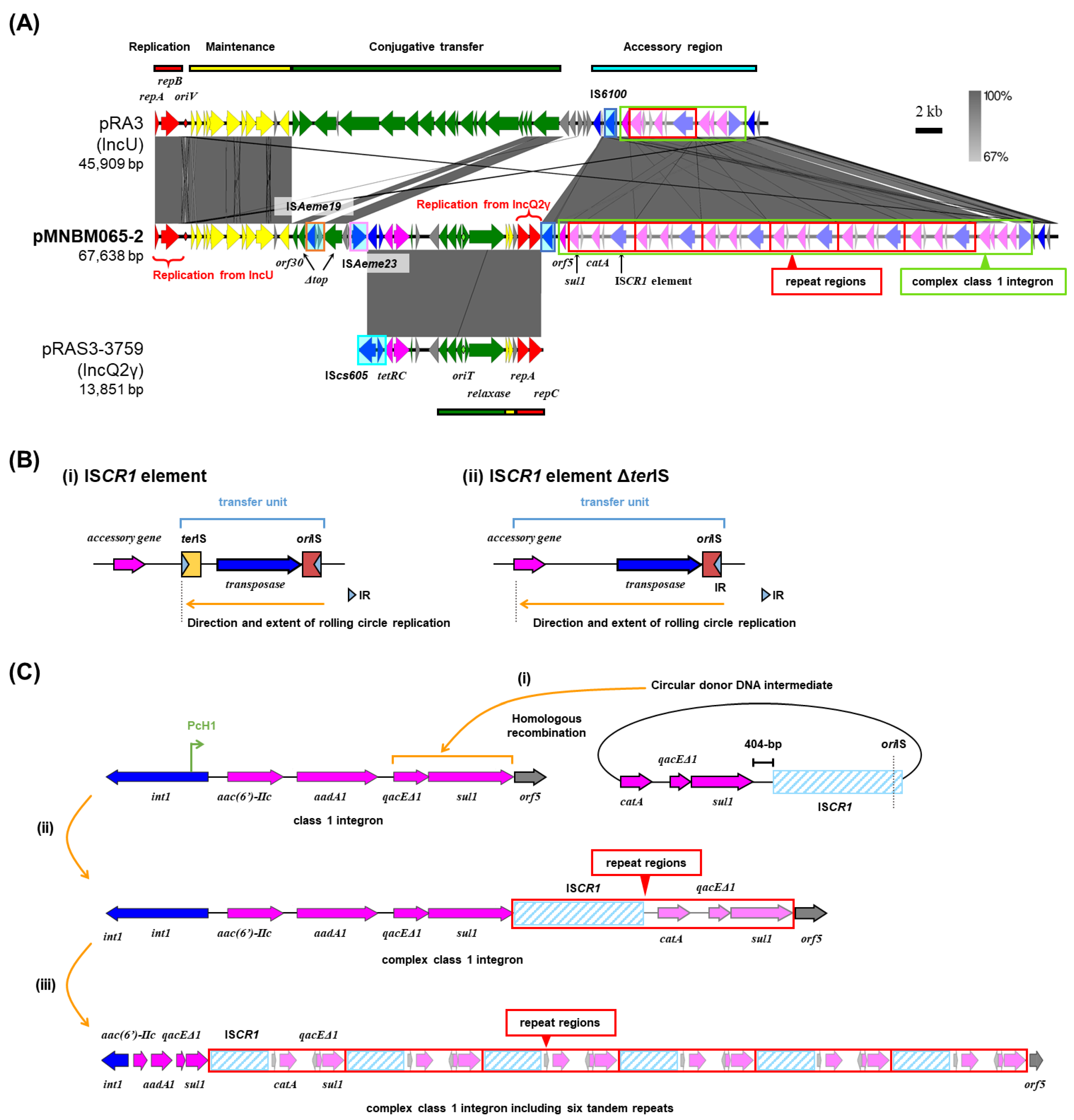 Preprints 196433 g002