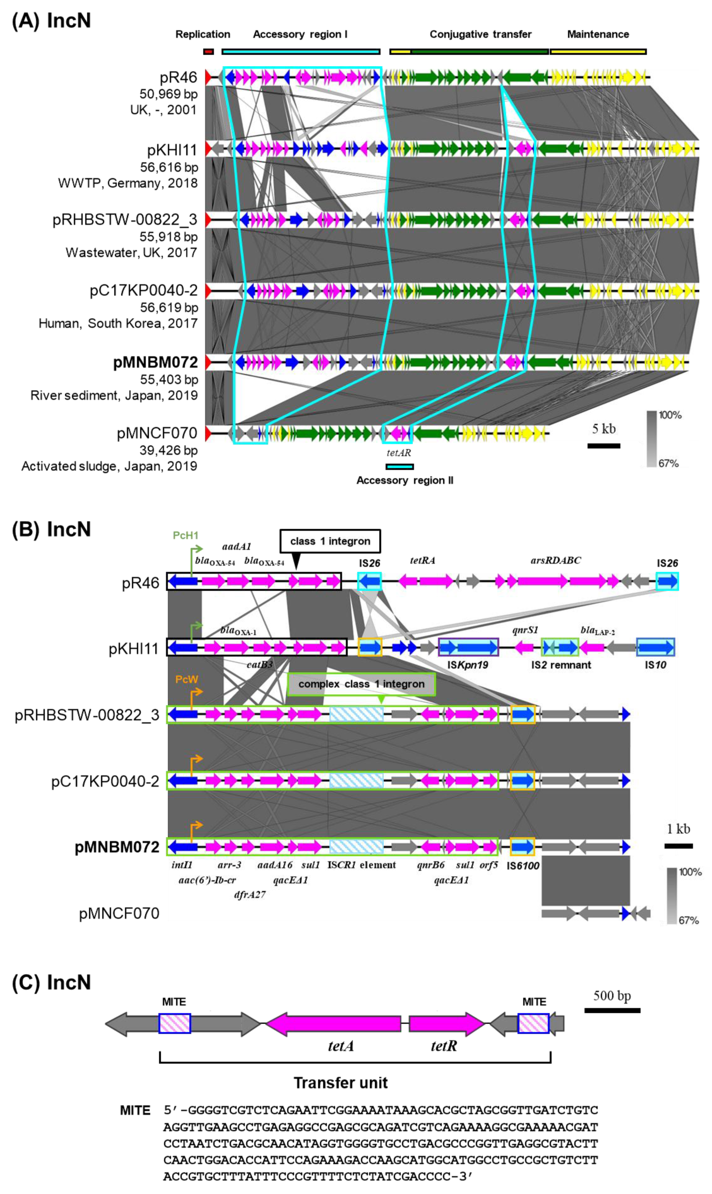 Preprints 196433 g003