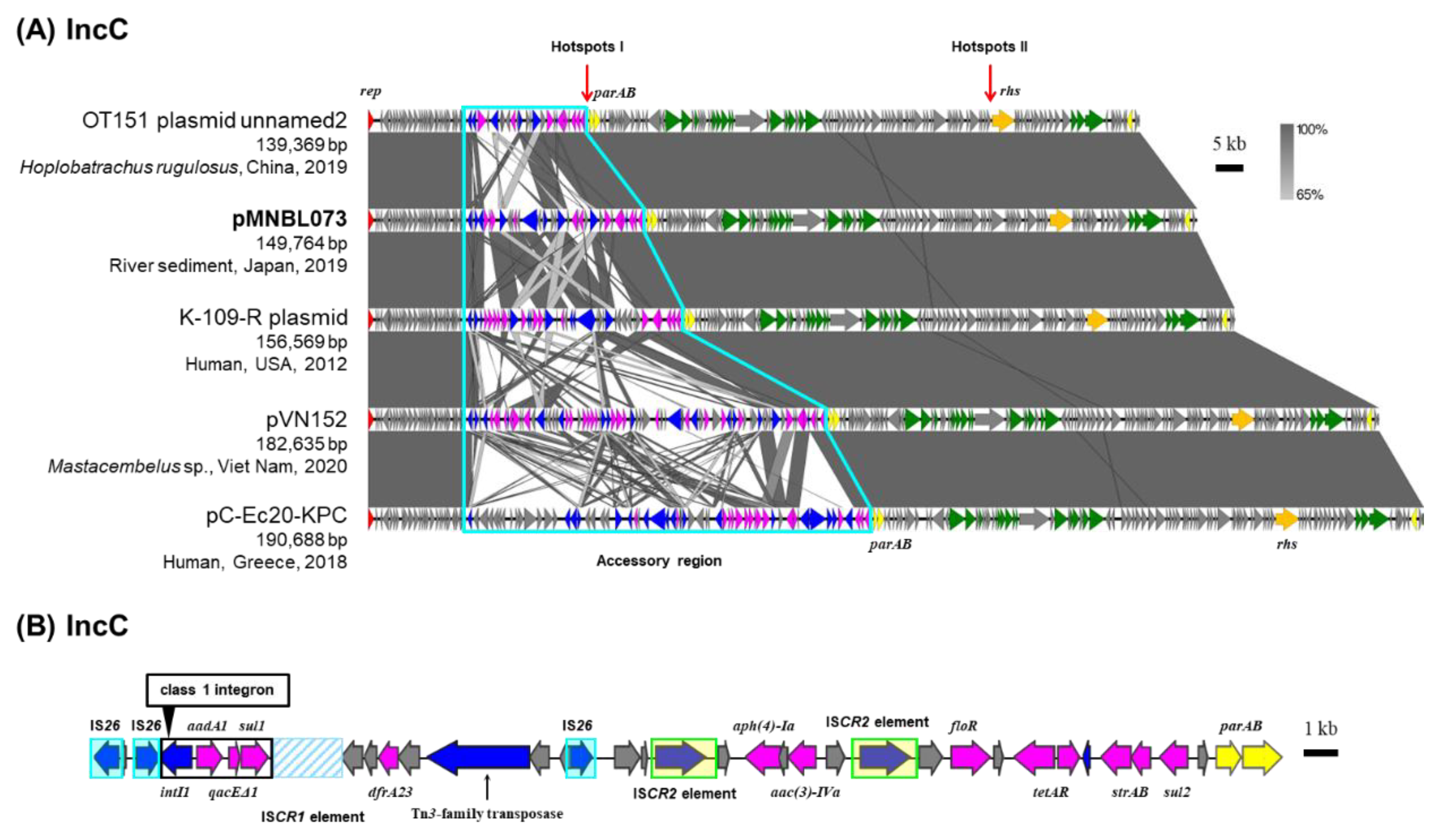 Preprints 196433 g004