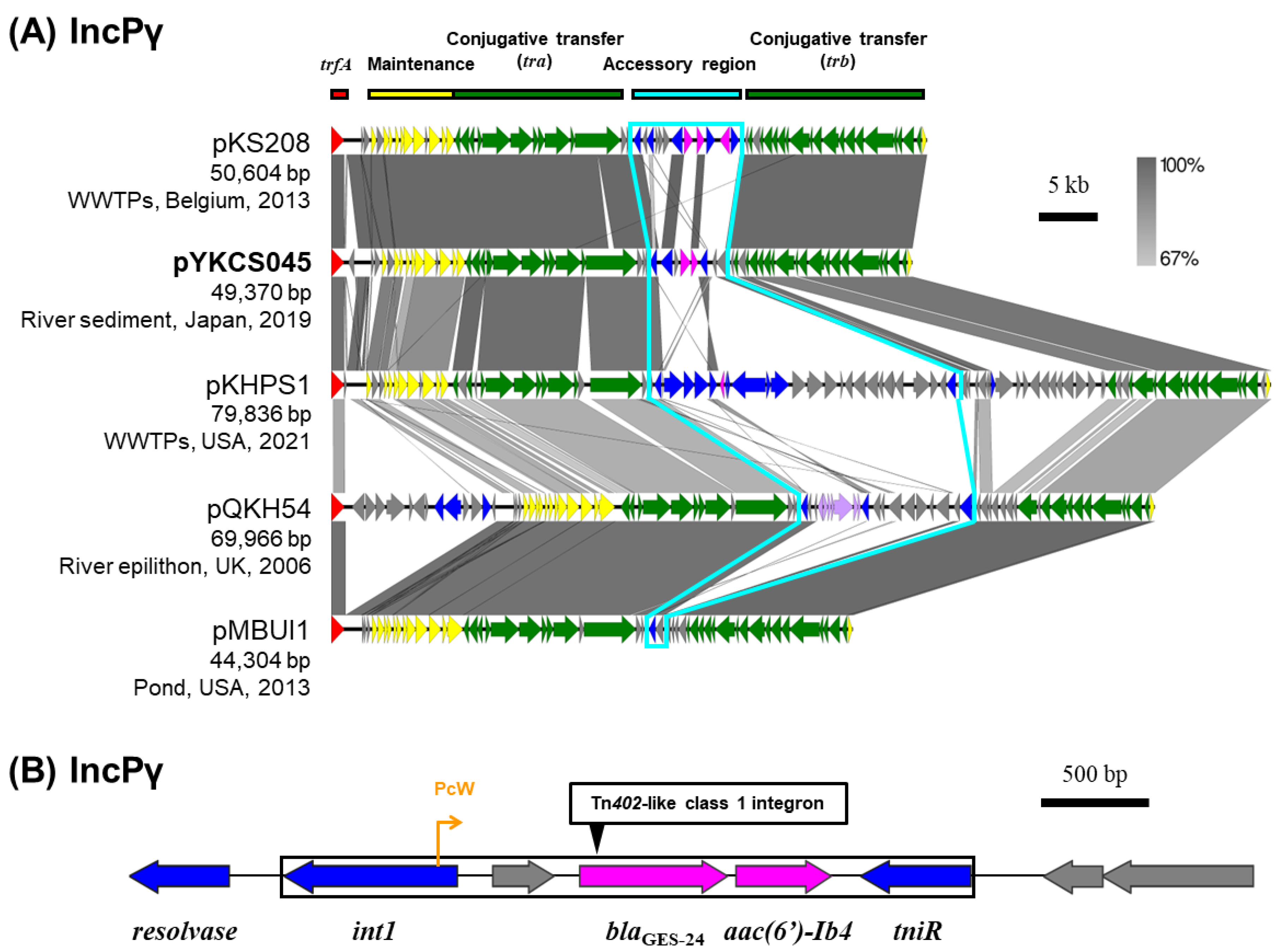 Preprints 196433 g005