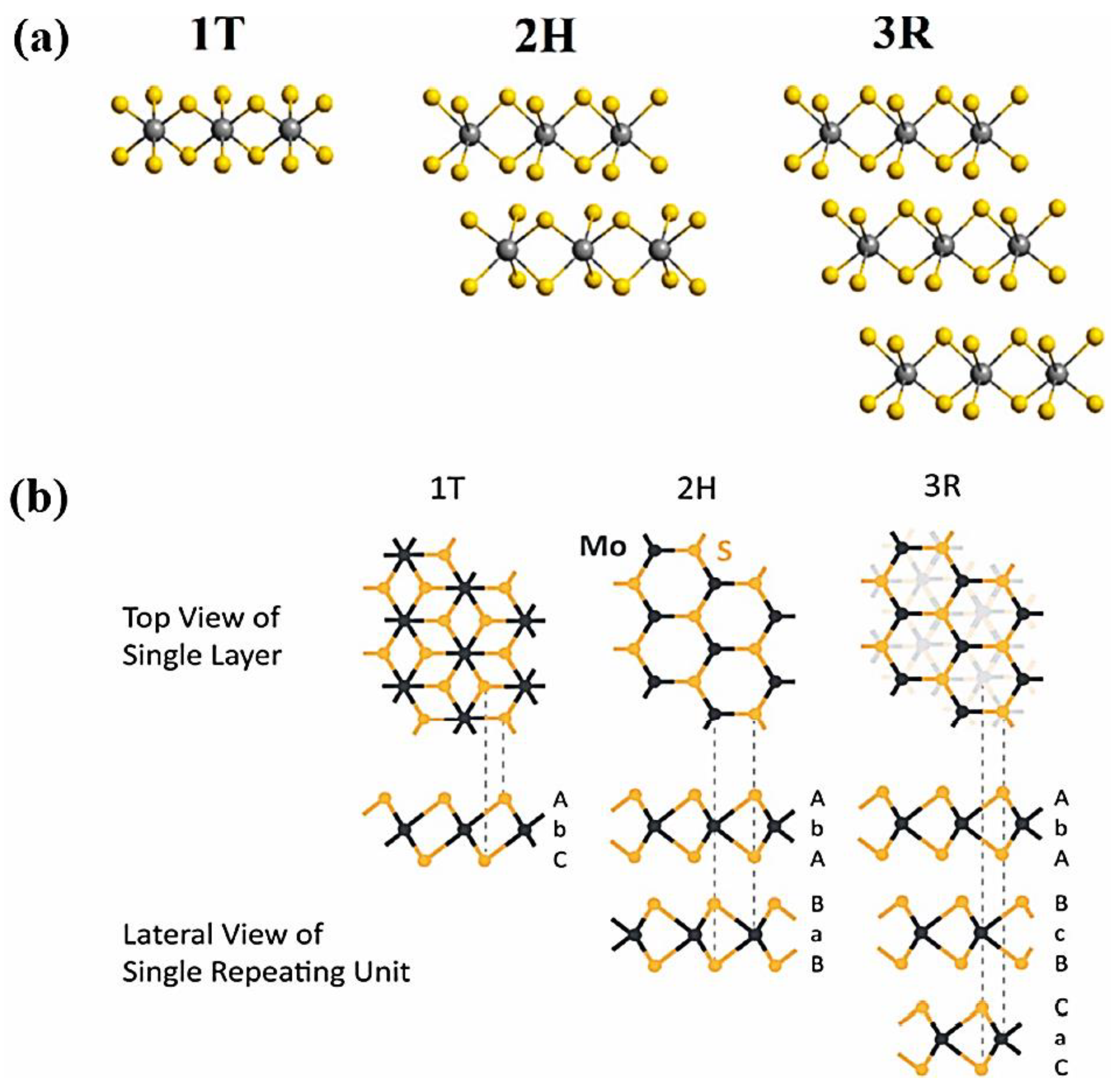 Preprints 182060 g005