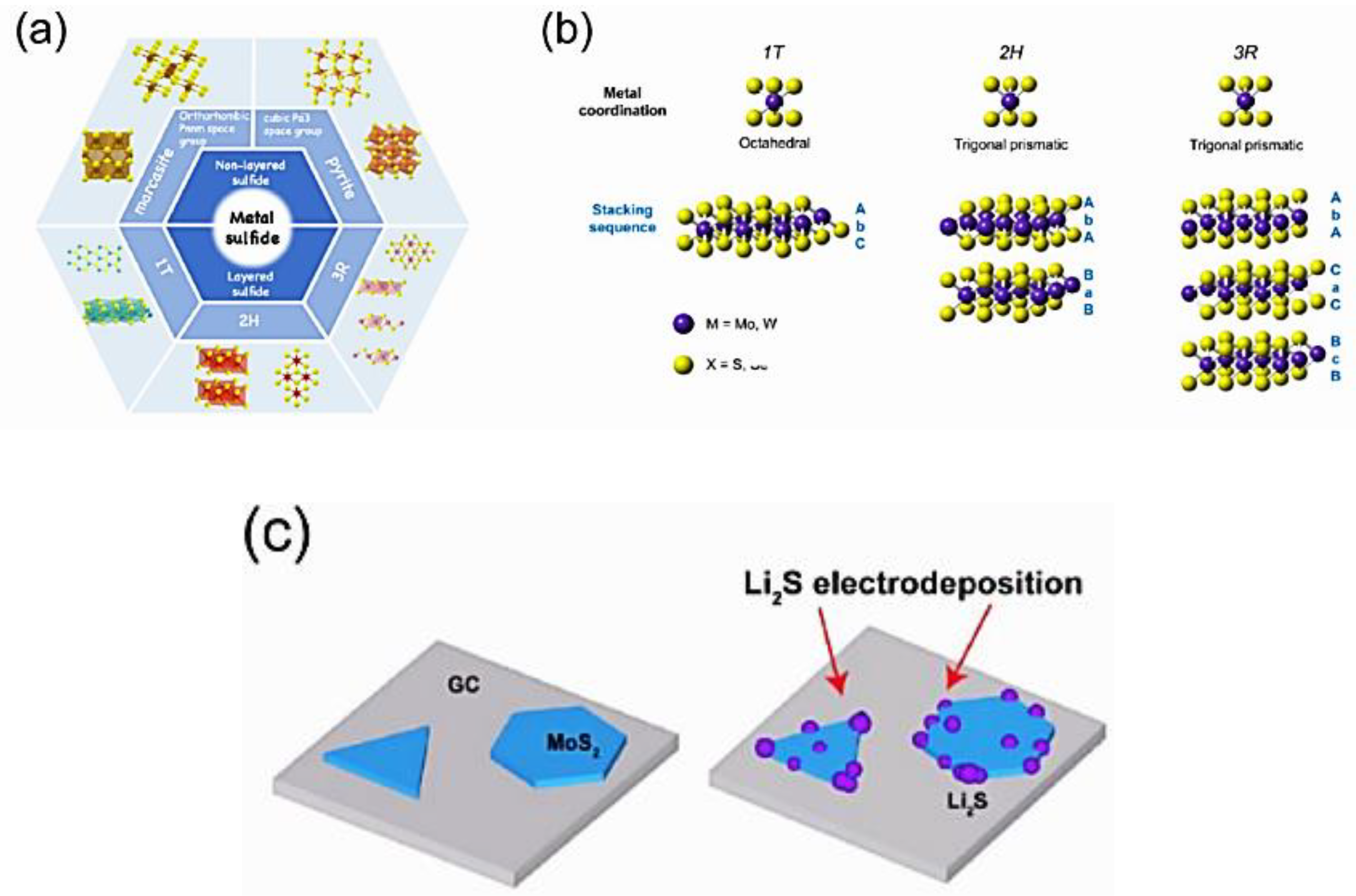 Preprints 182060 g007