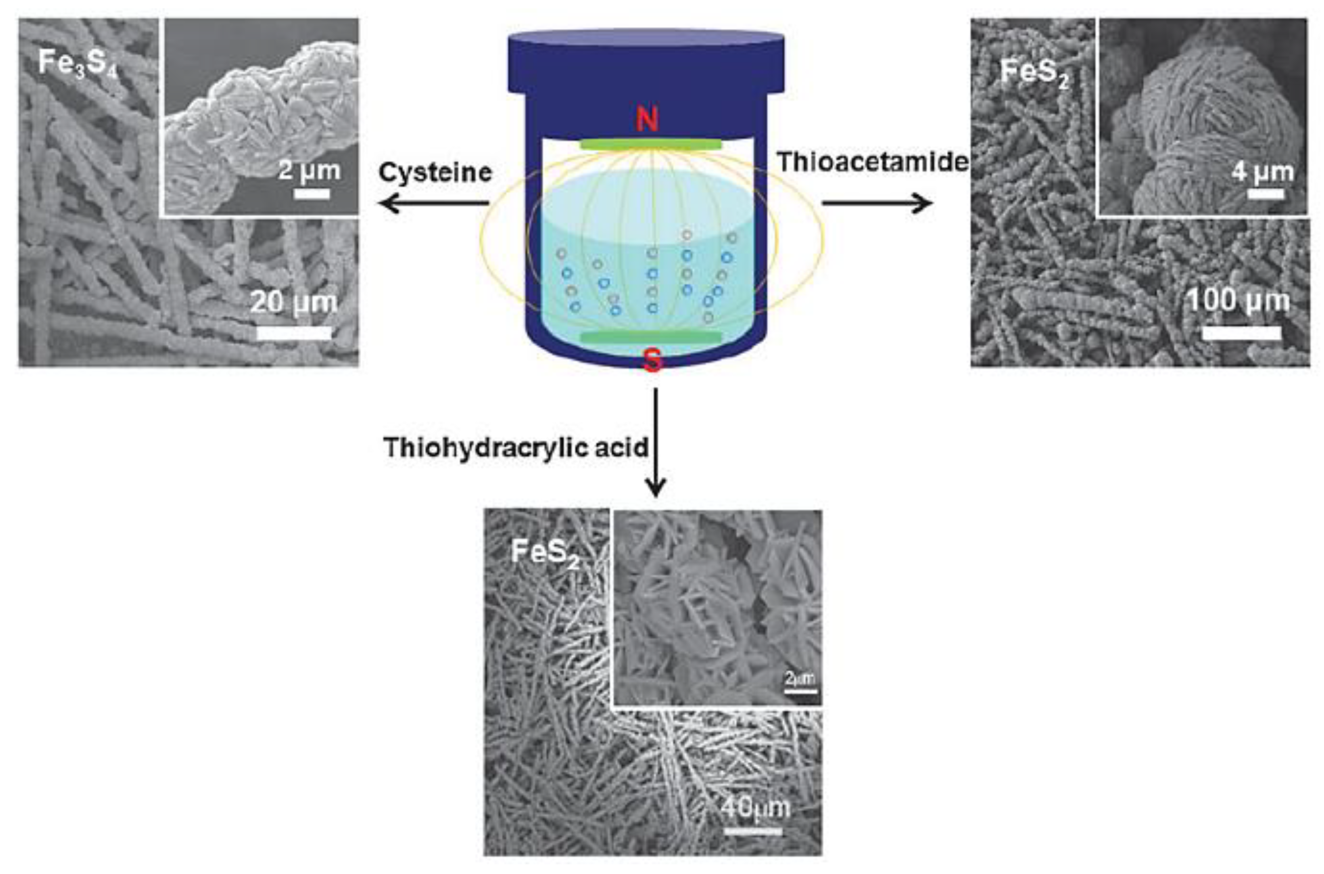 Preprints 182060 g011