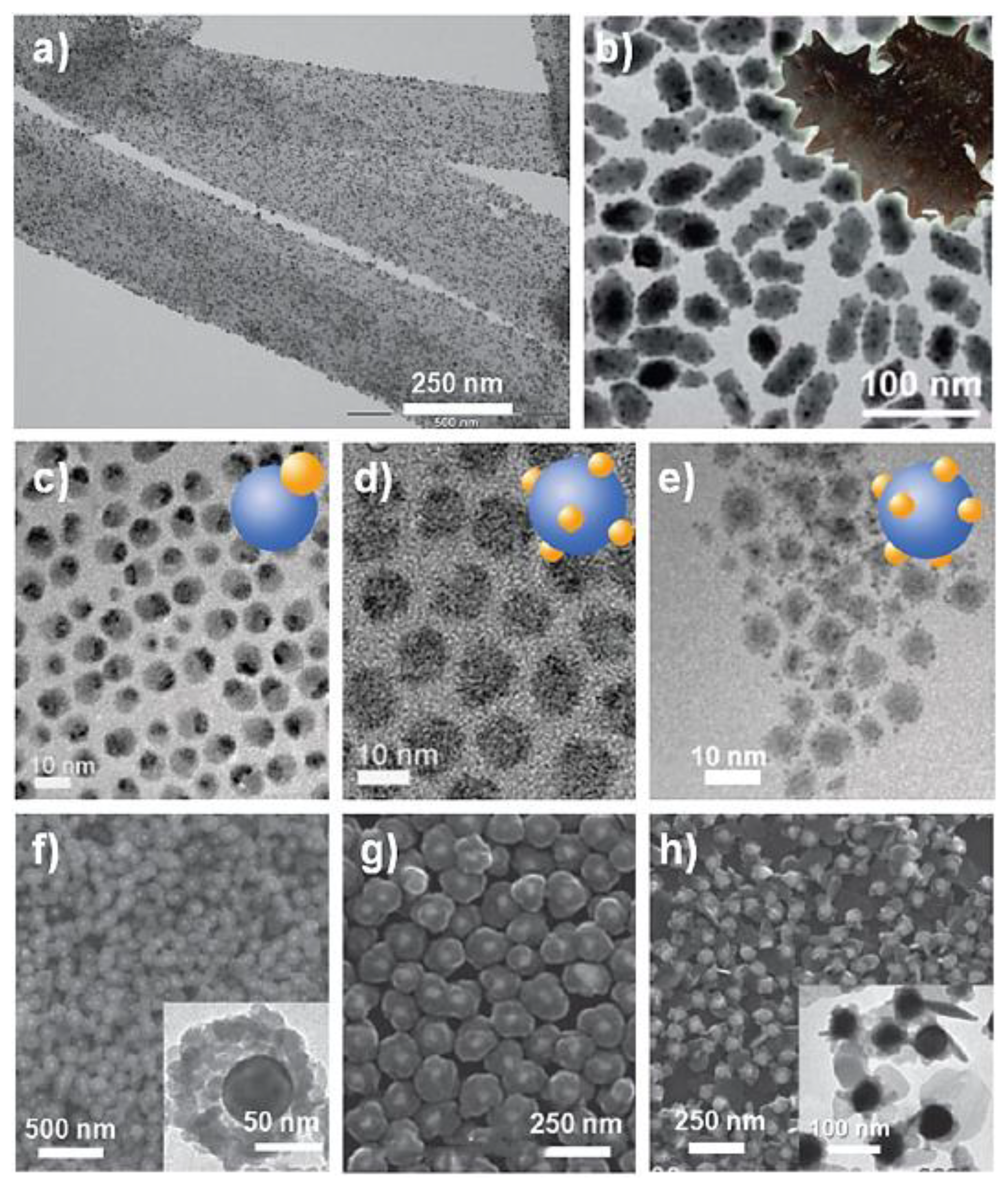 Preprints 182060 g017