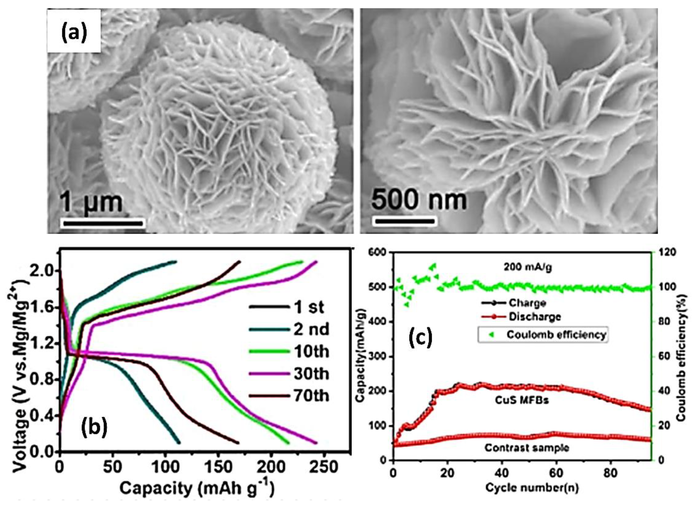 Preprints 182060 g021