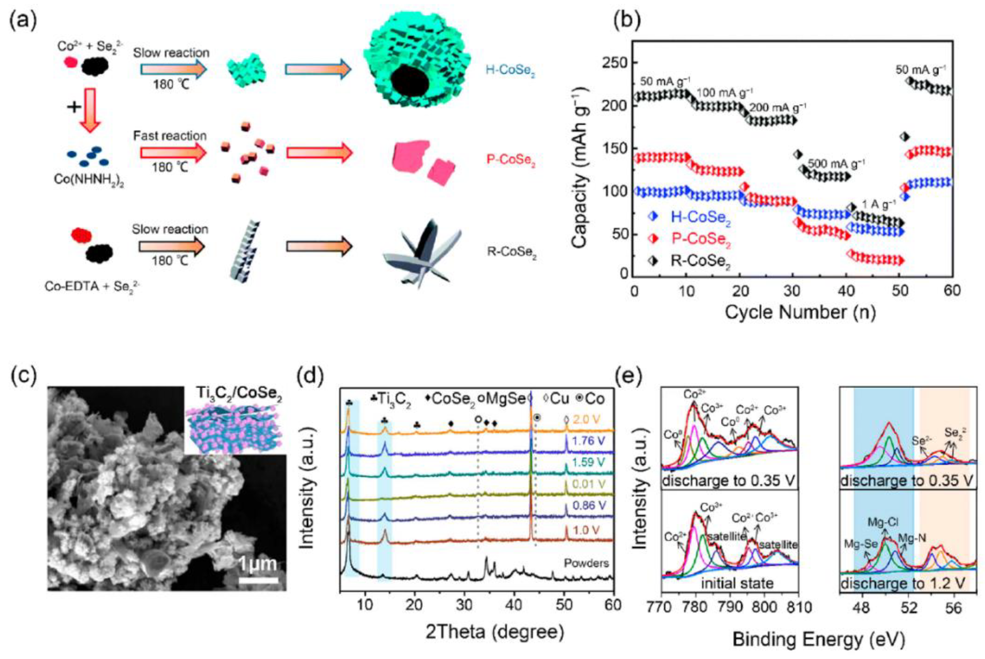 Preprints 182060 g024