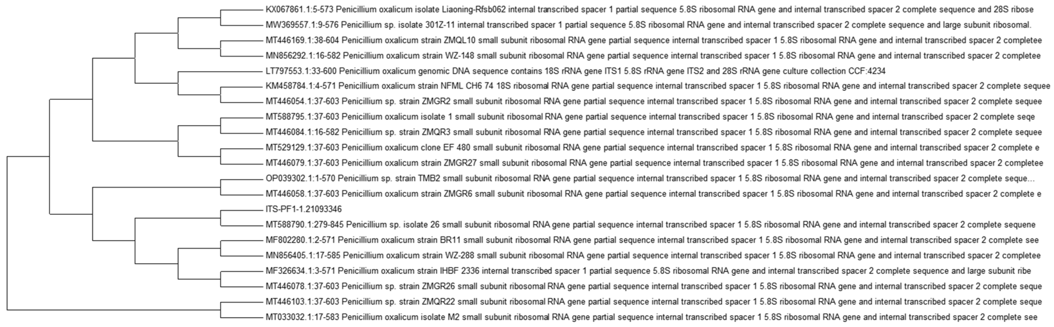 Preprints 207624 g002