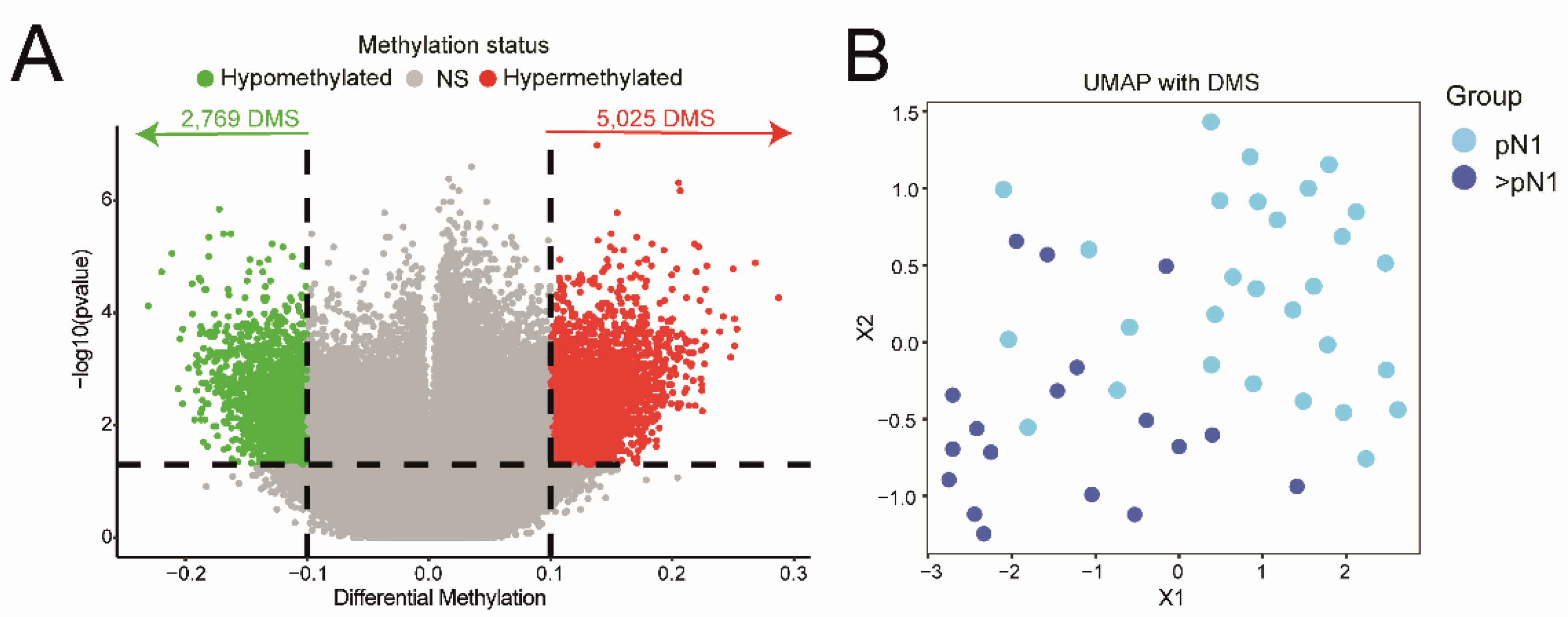 Preprints 220104 g001