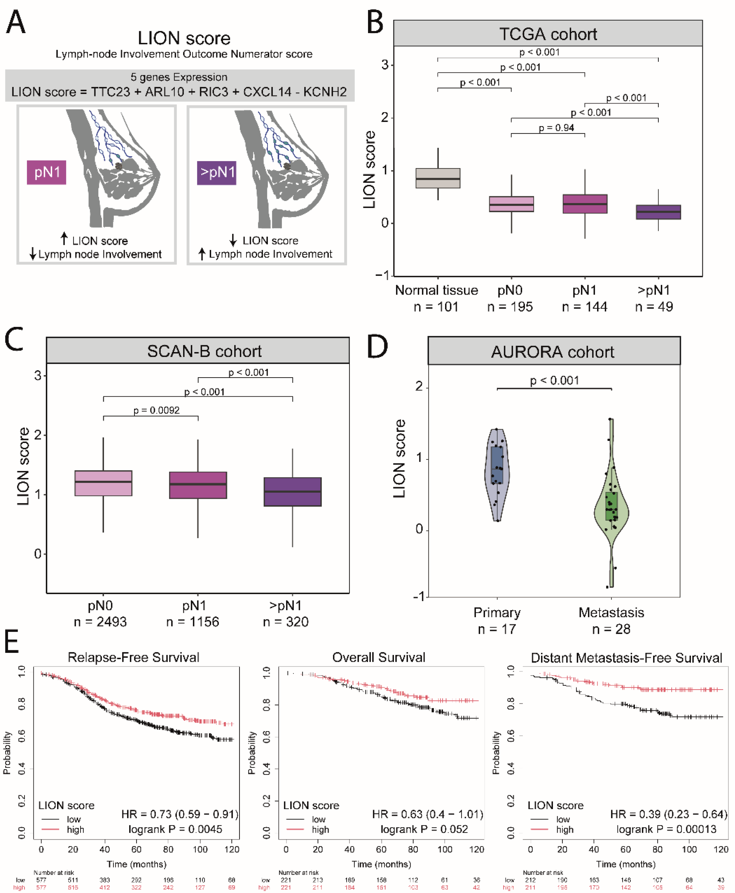 Preprints 220104 g003