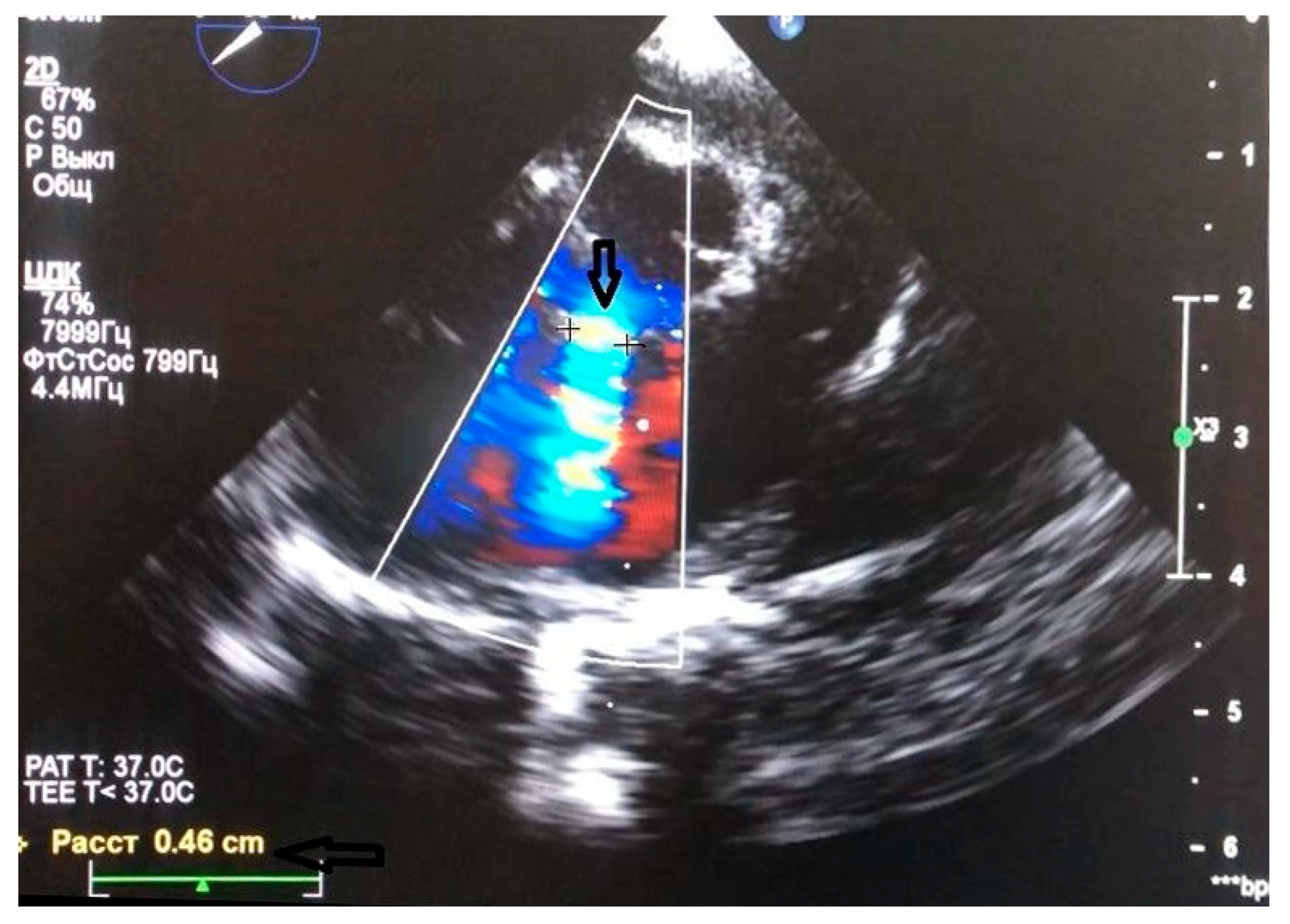 Preprints 169218 g001