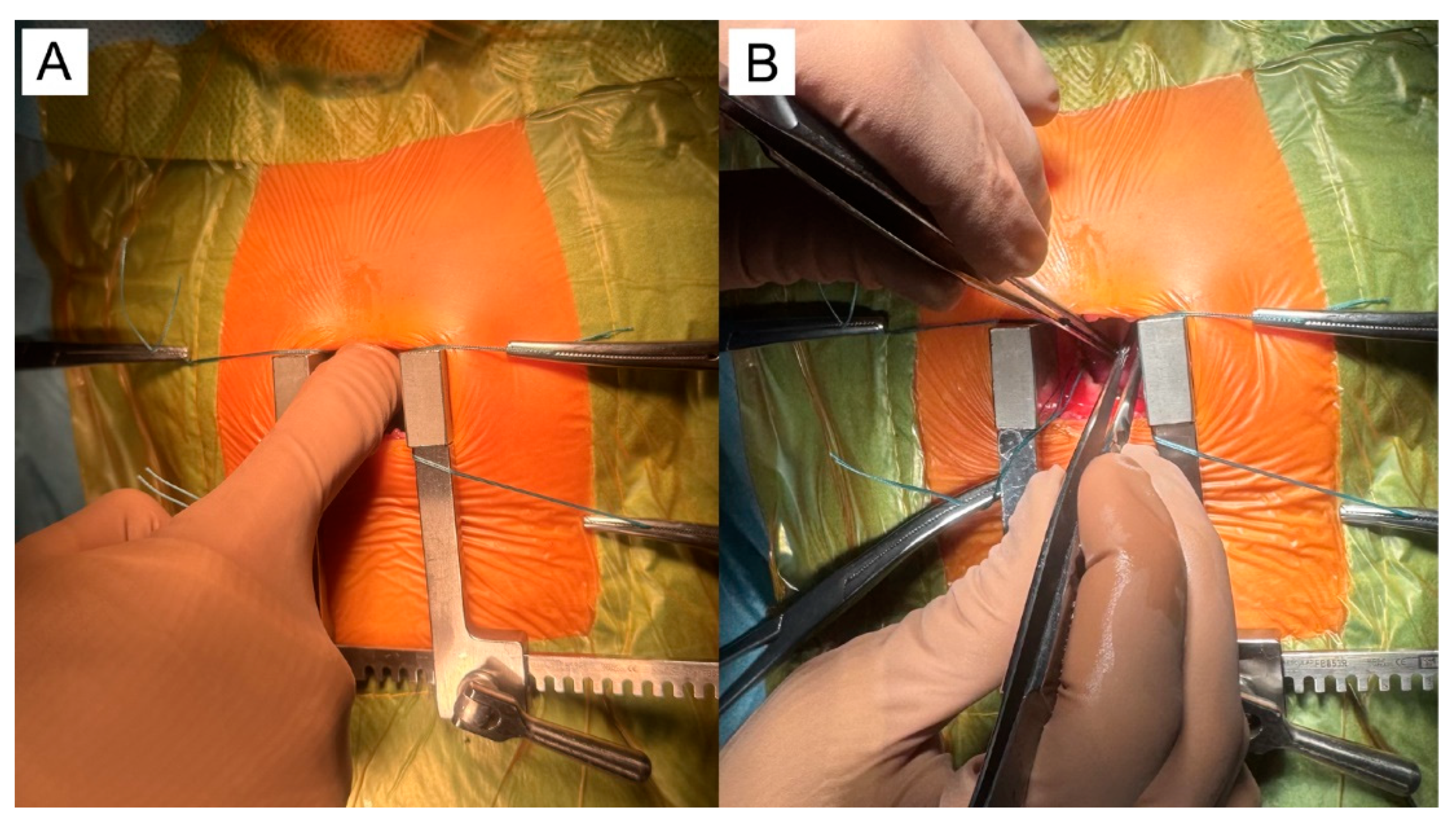 Preprints 169218 g003