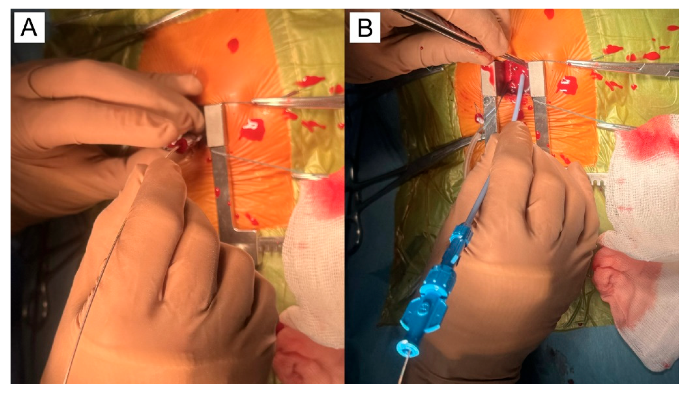 Preprints 169218 g004