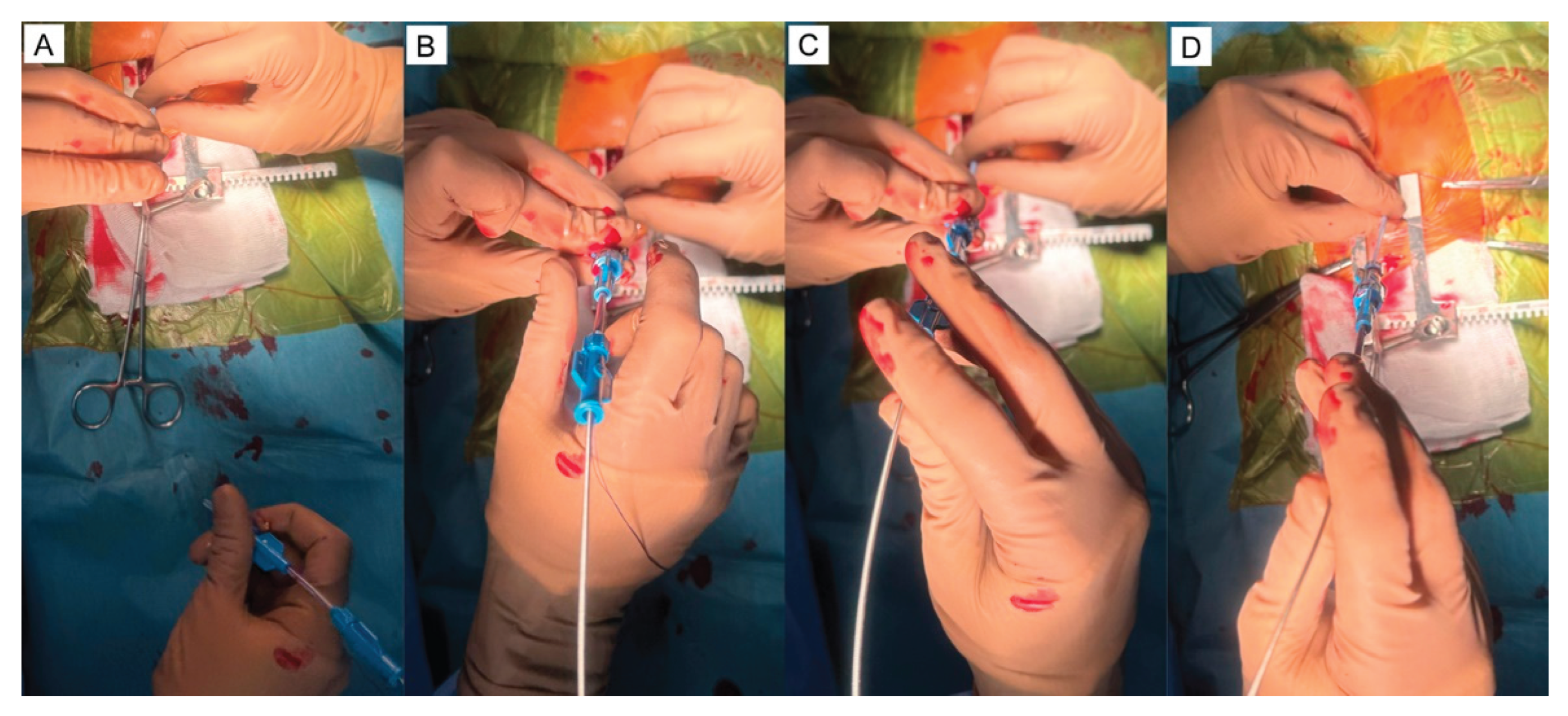 Preprints 169218 g005