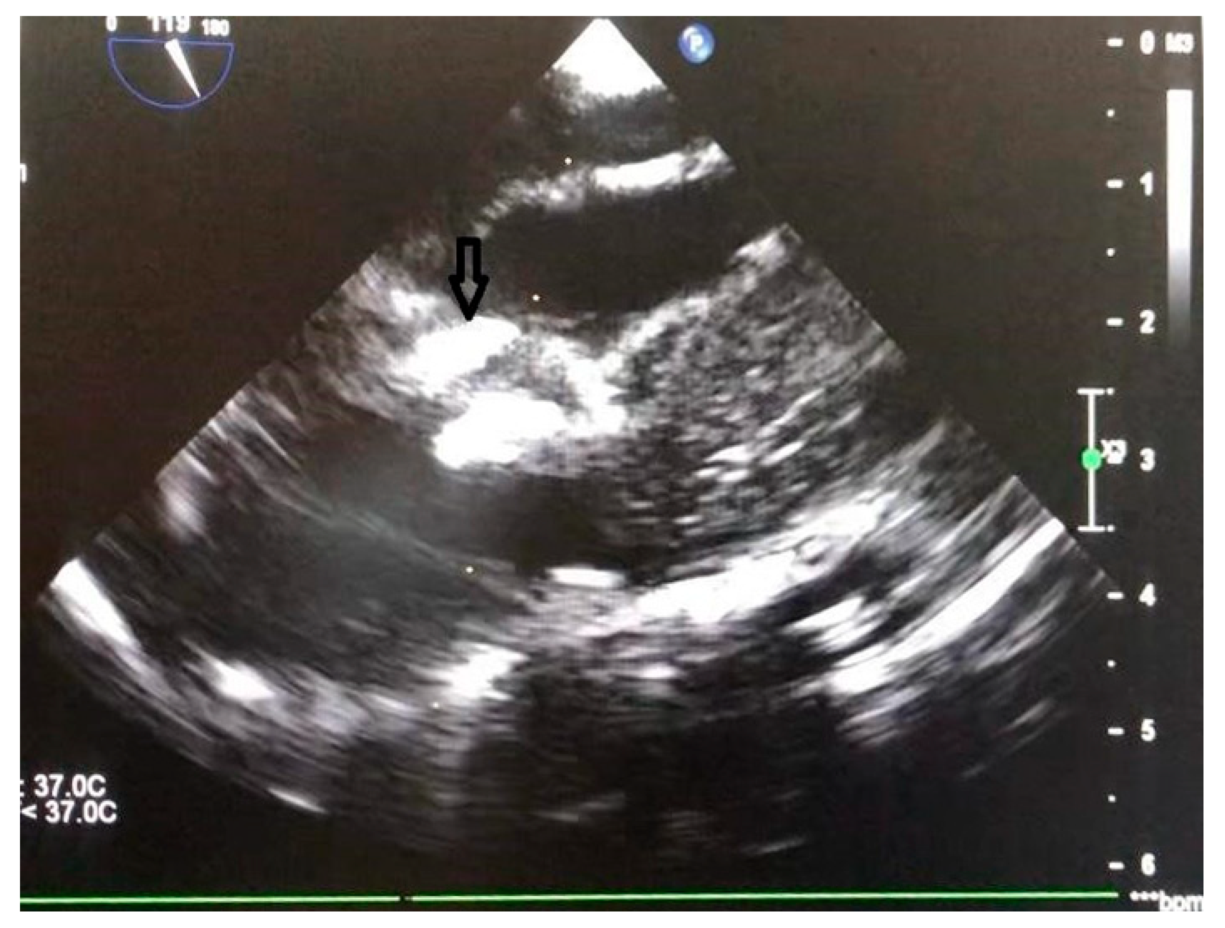 Preprints 169218 g006