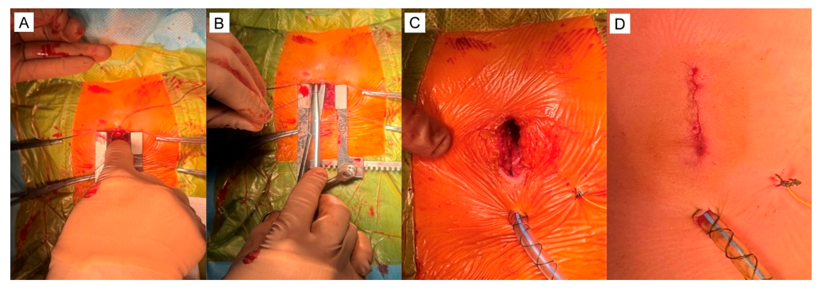 Preprints 169218 g007