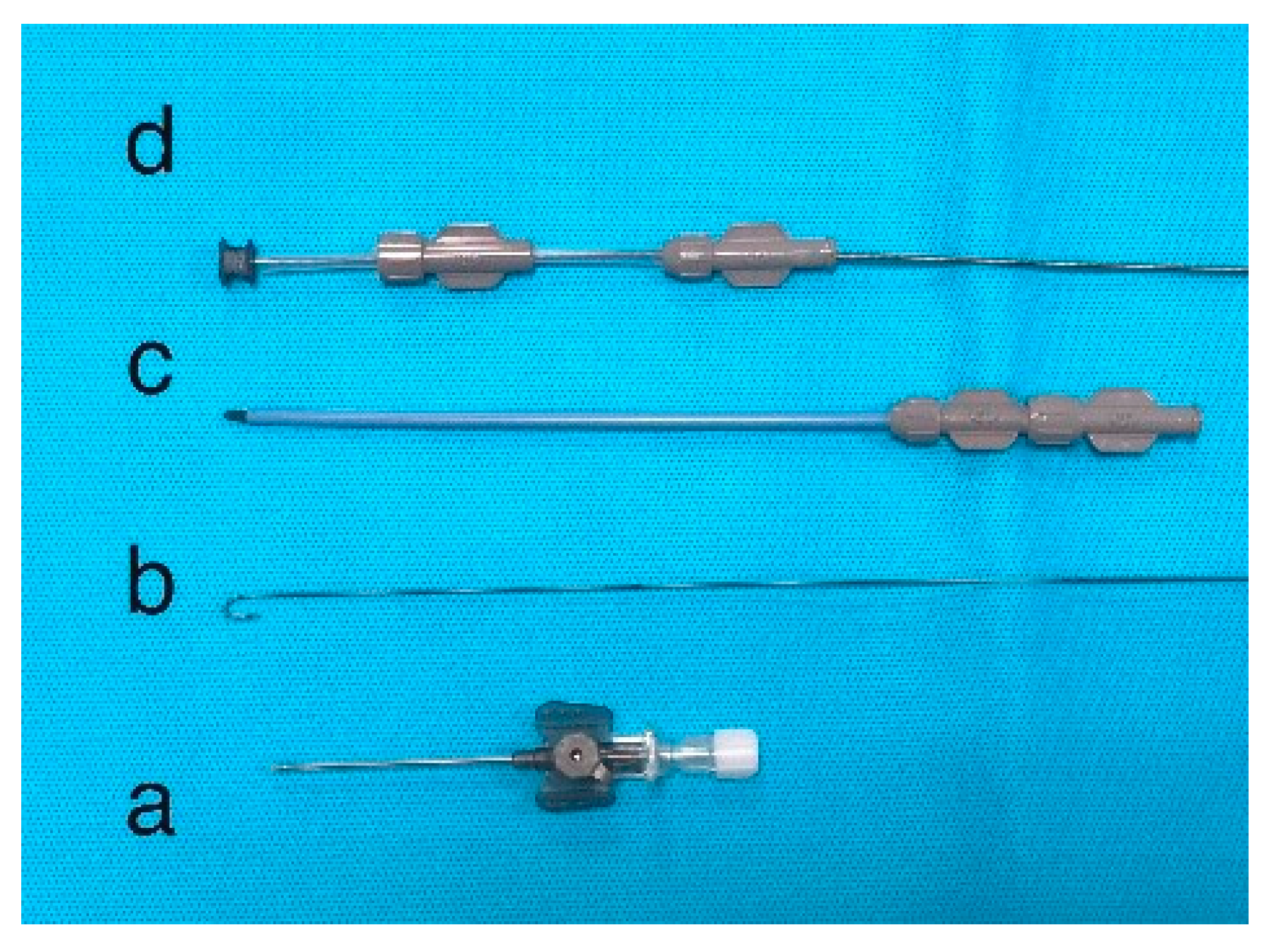 Preprints 169218 g008