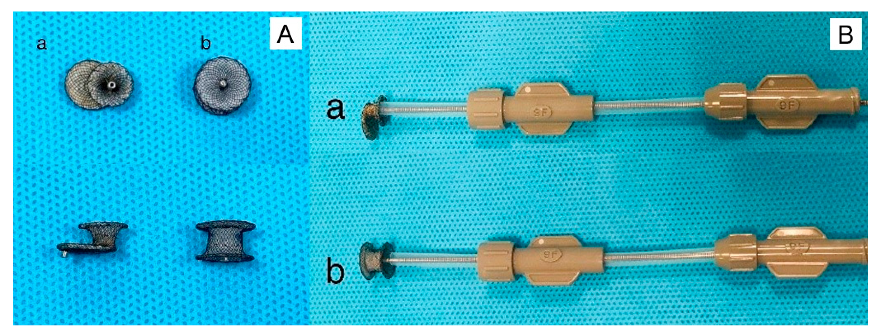 Preprints 169218 g010