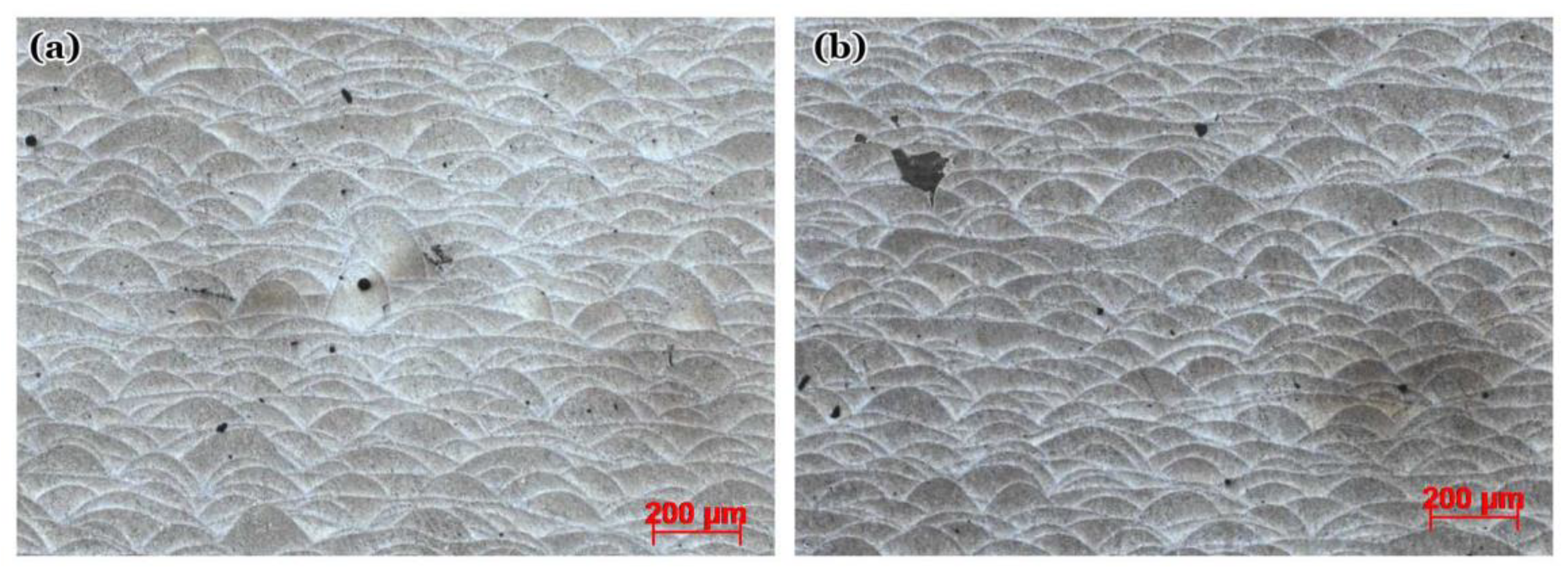 Preprints 154056 g002