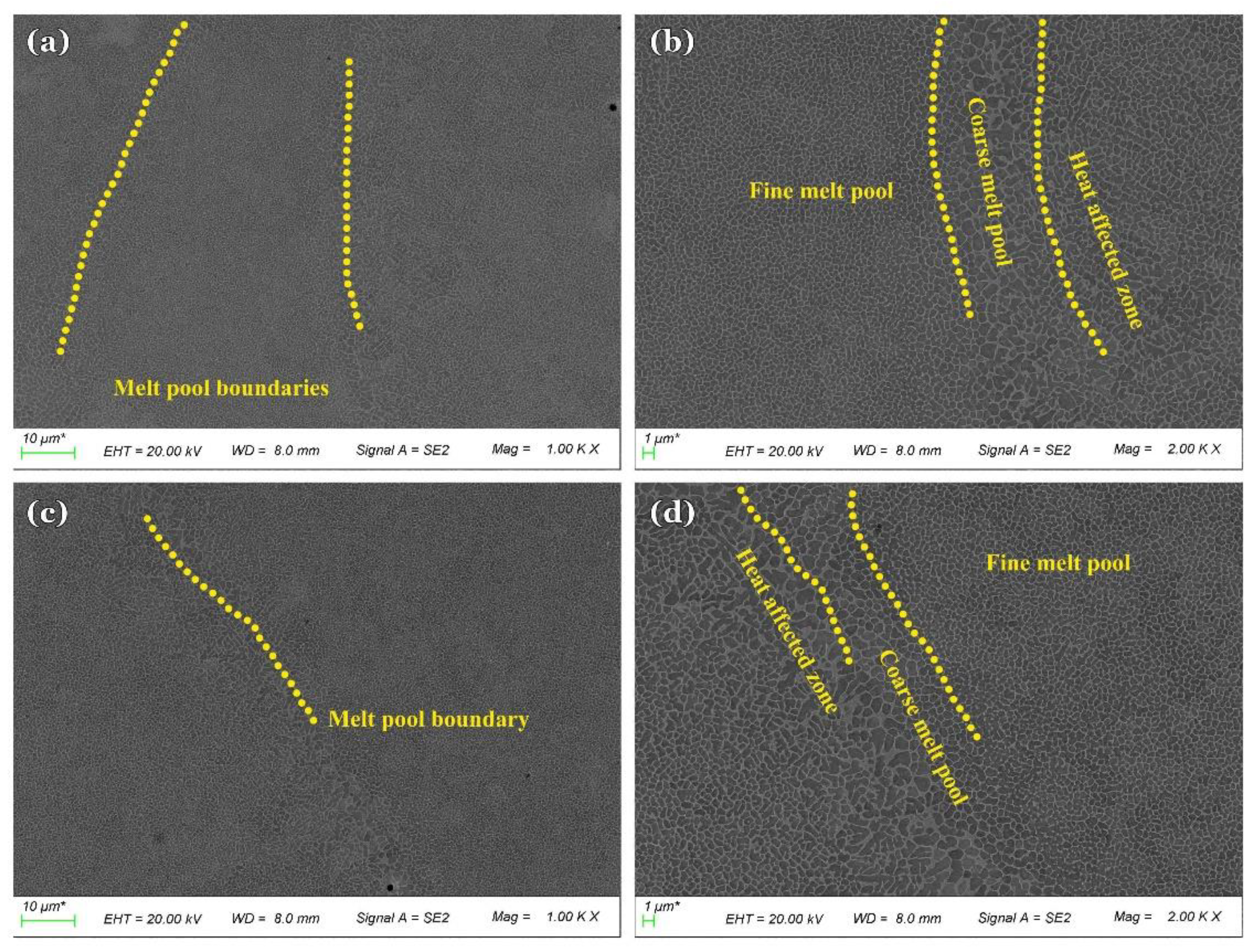 Preprints 154056 g003