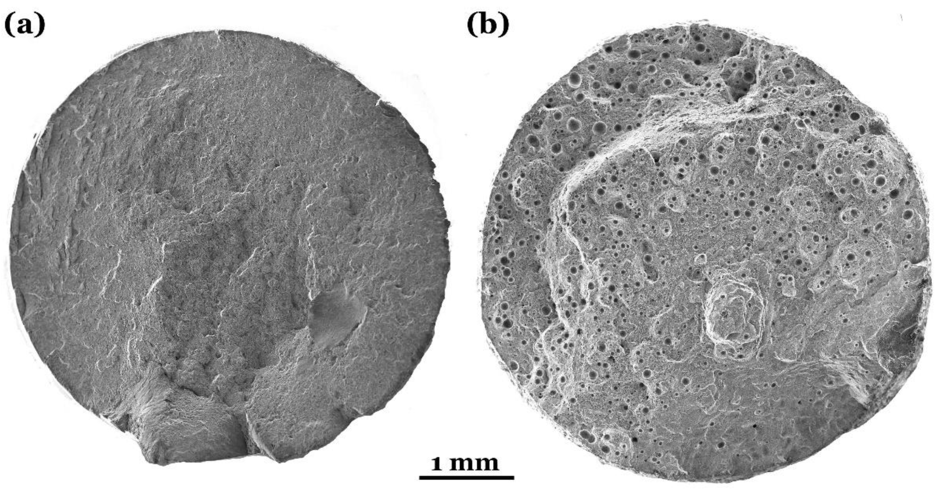 Preprints 154056 g008