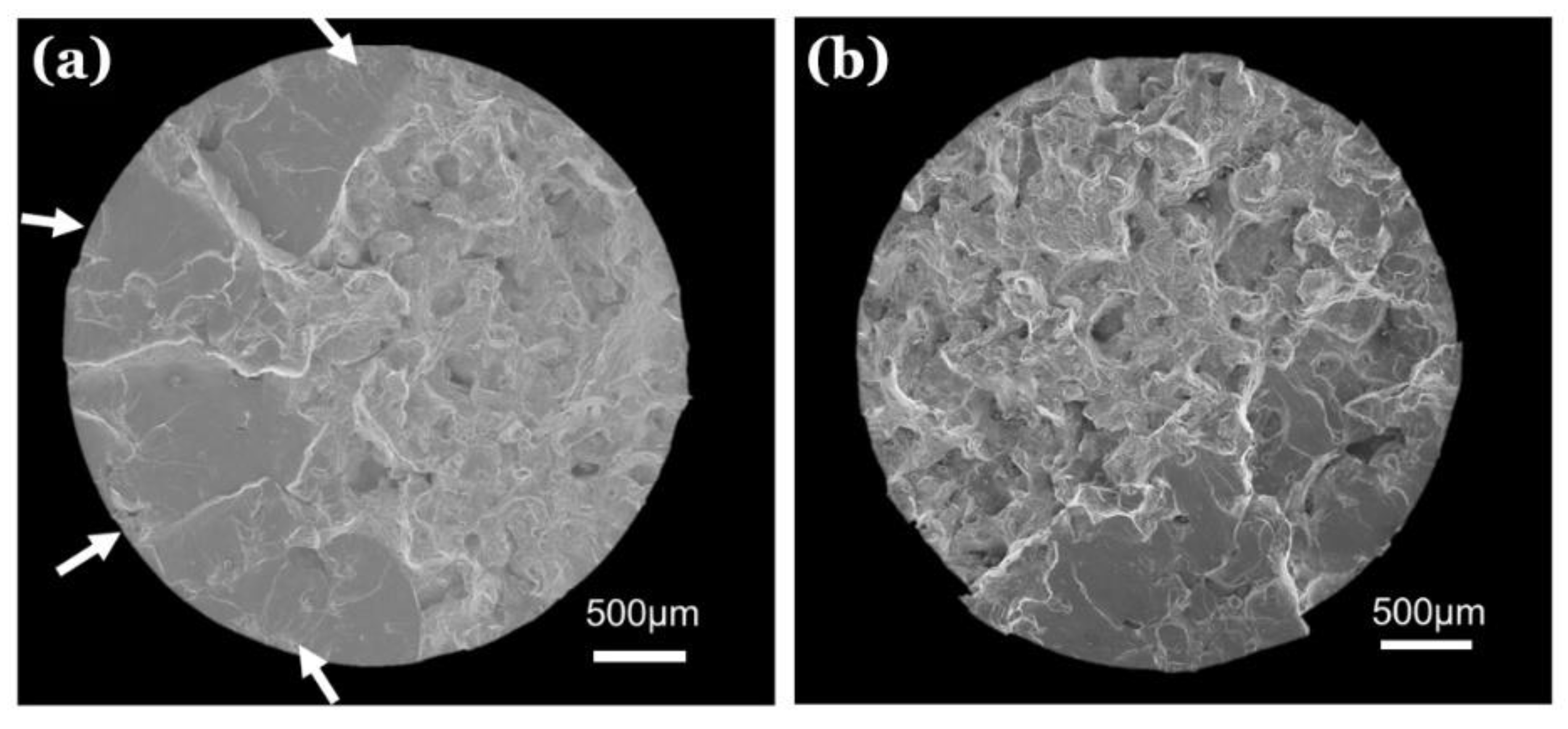 Preprints 154056 g010