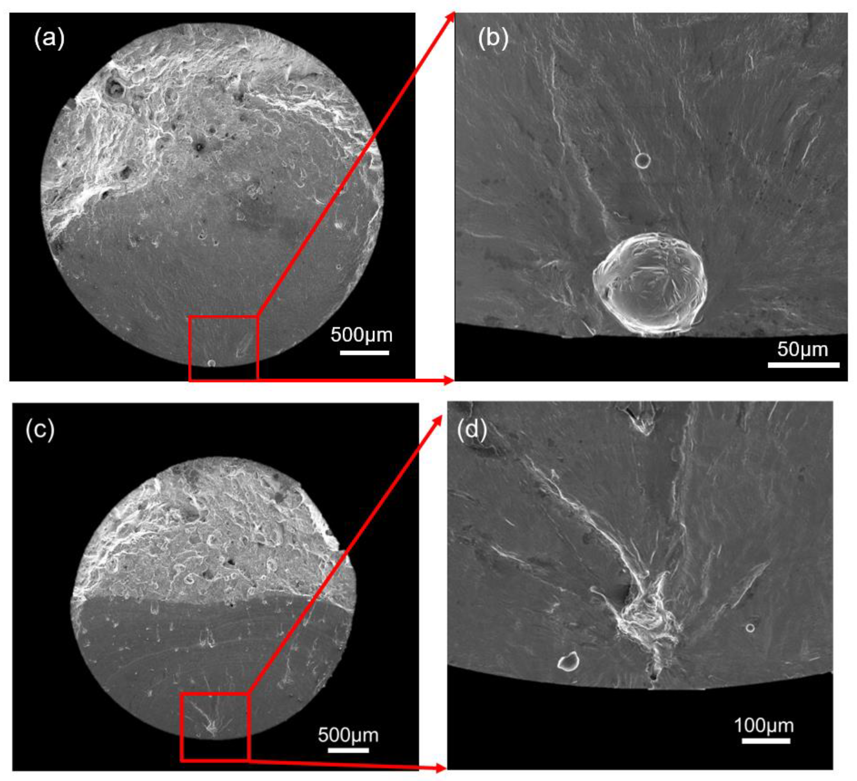 Preprints 154056 g011