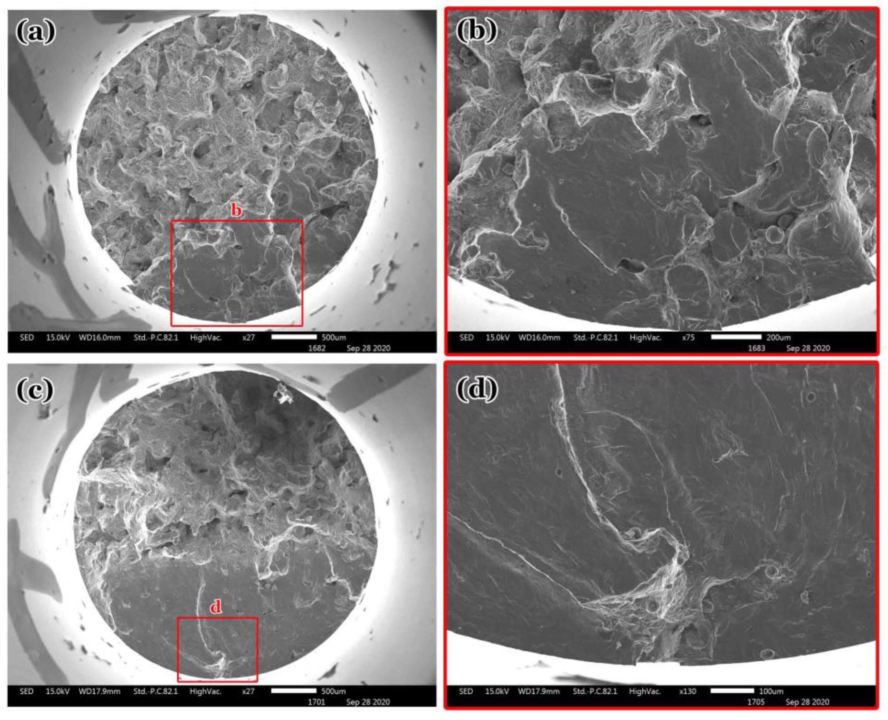 Preprints 154056 g012