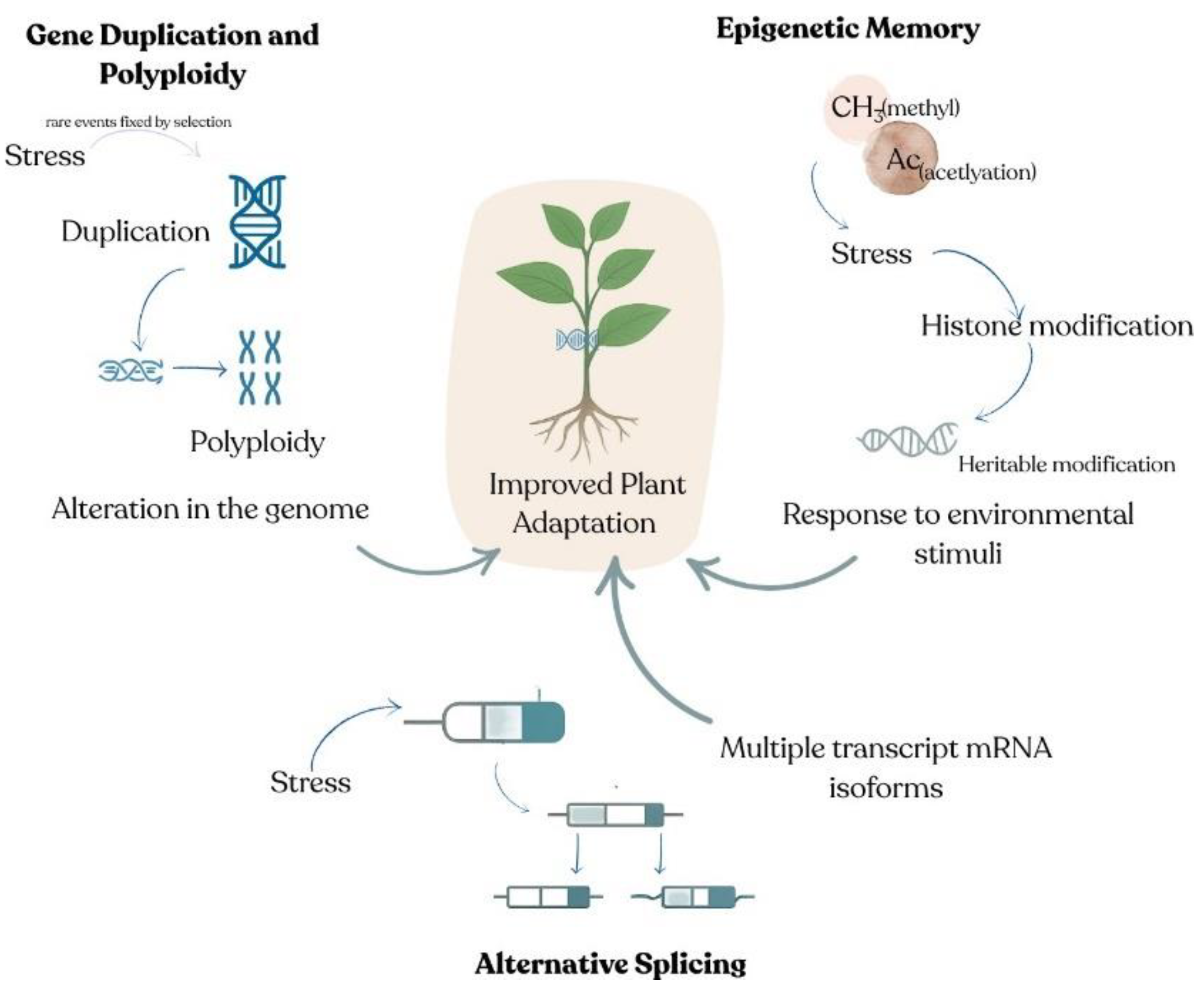 Preprints 163893 g001