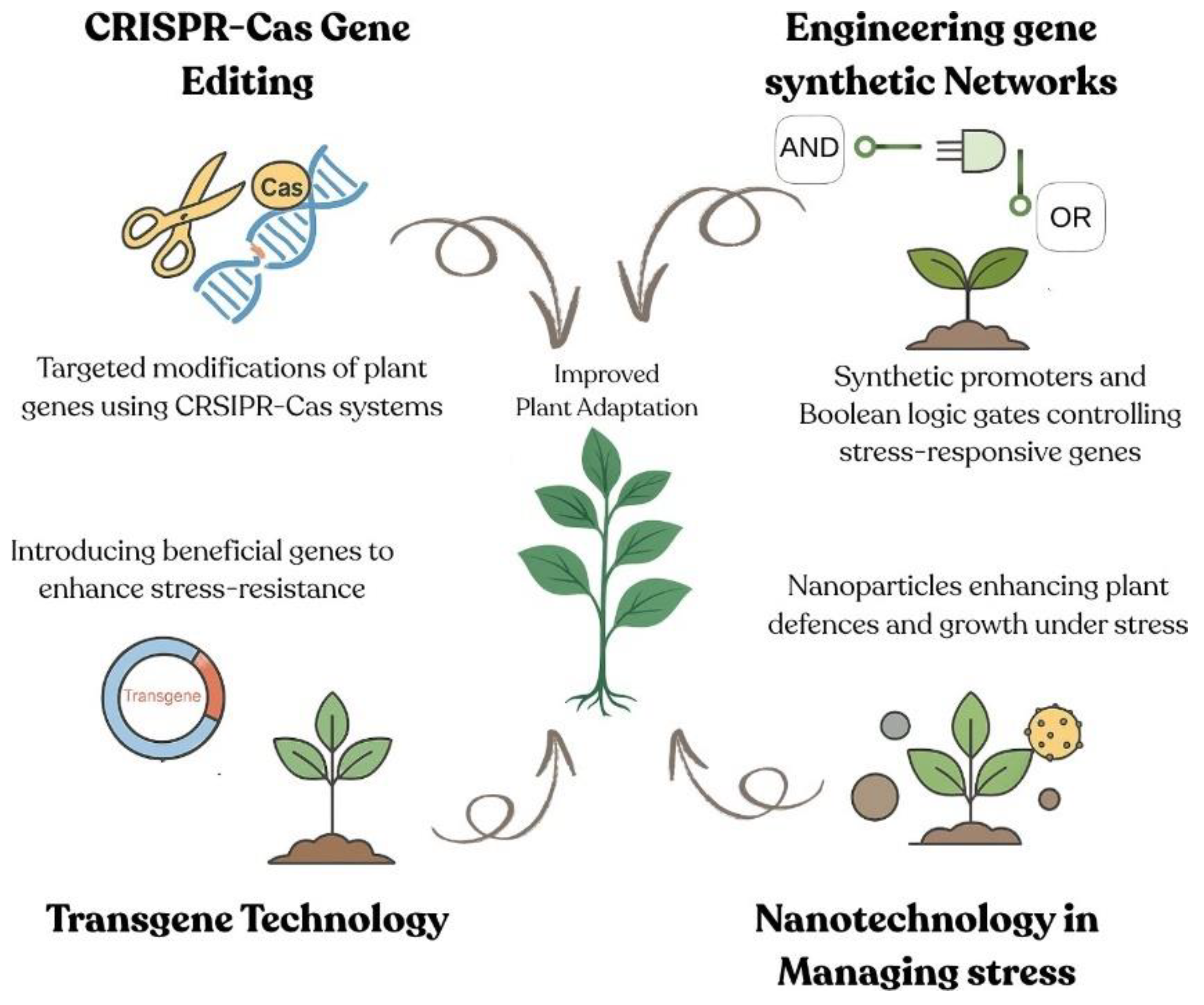 Preprints 163893 g002
