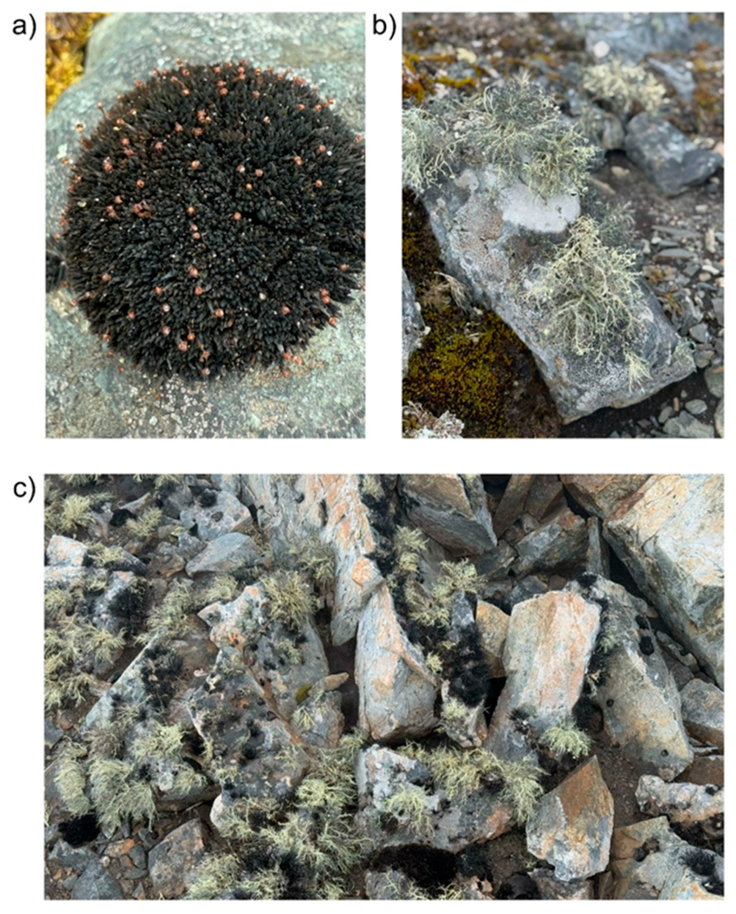 Preprints 184012 g001