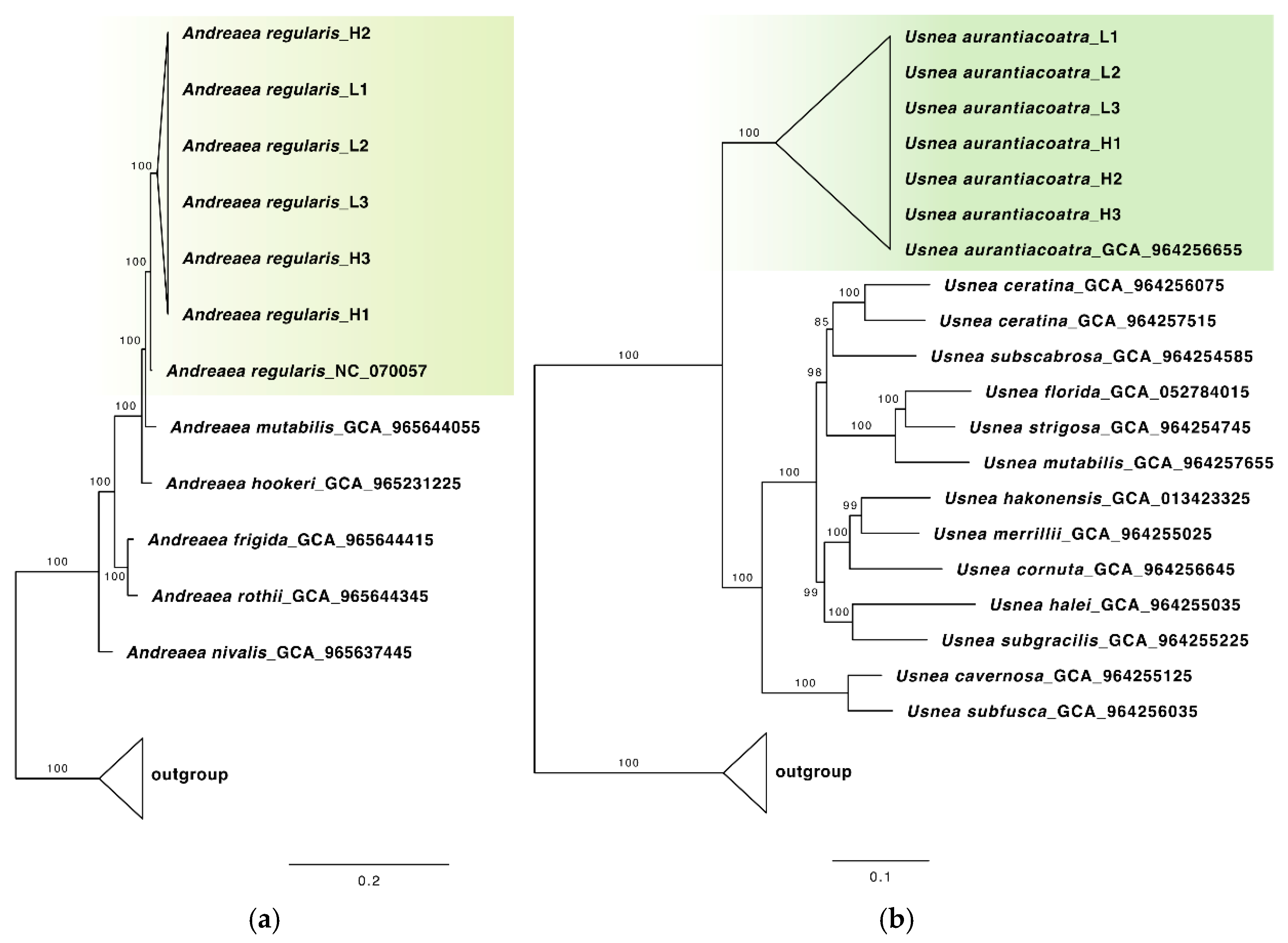 Preprints 184012 g002