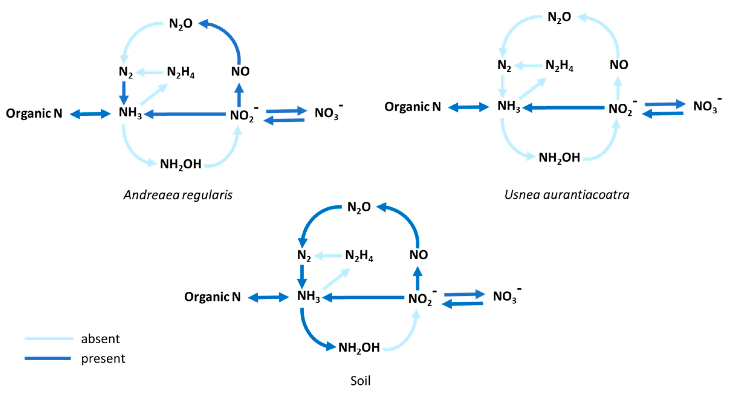 Preprints 184012 g006