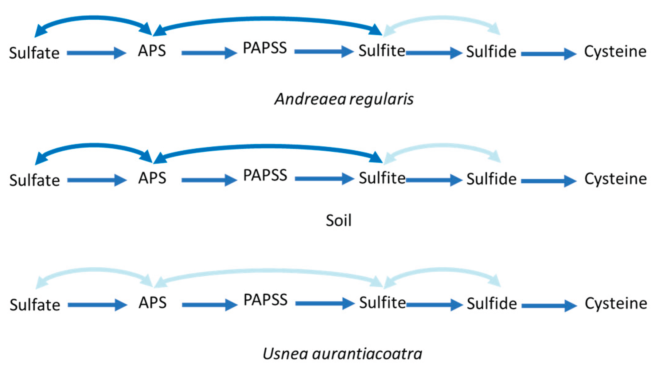 Preprints 184012 g007