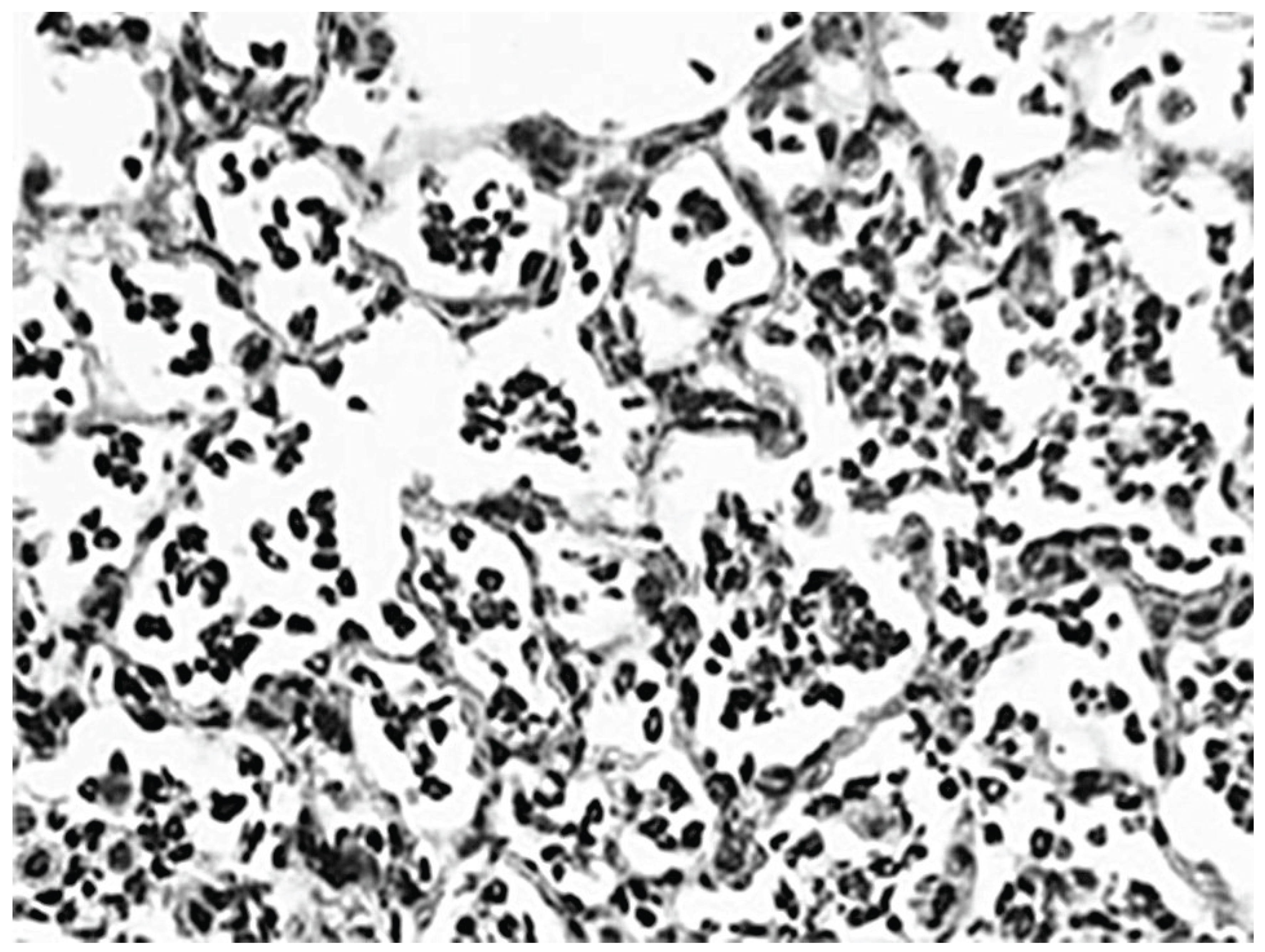 Preprints 164911 g001