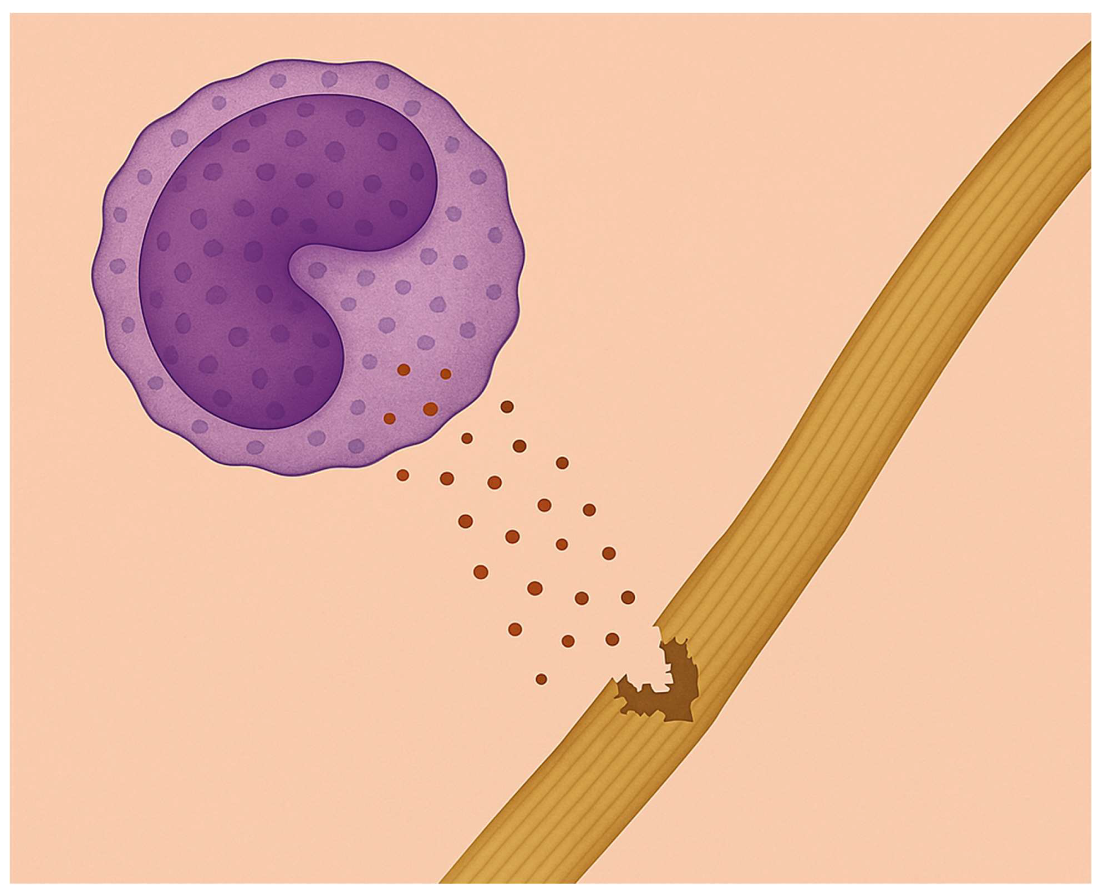 Preprints 164911 g004