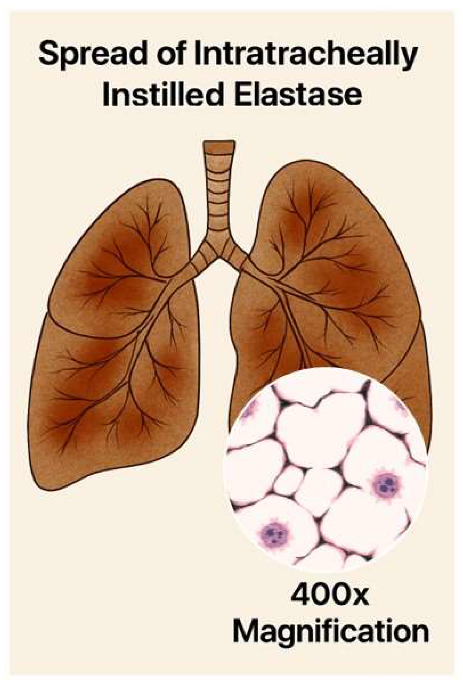 Preprints 164911 g005