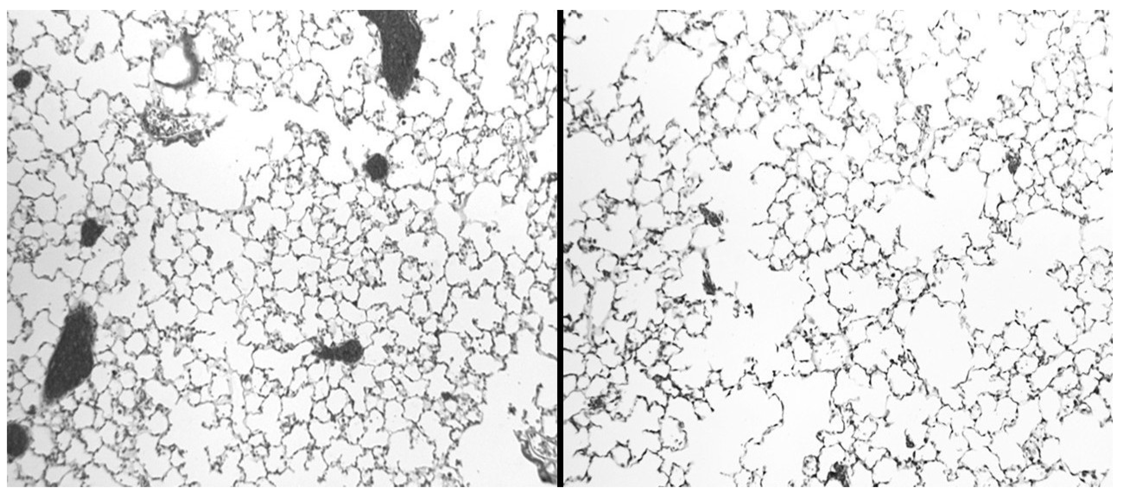 Preprints 164911 g009