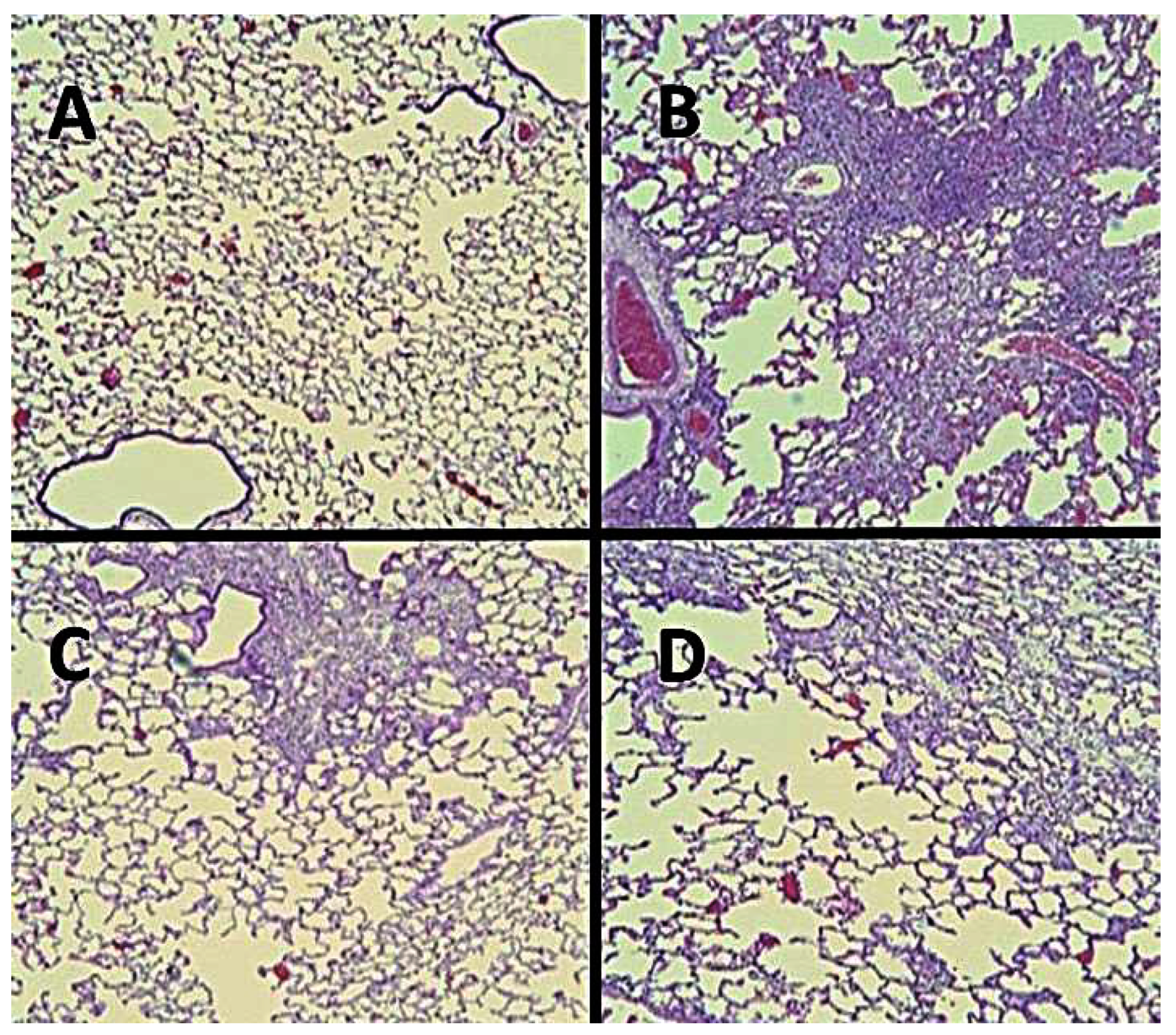 Preprints 164911 g012