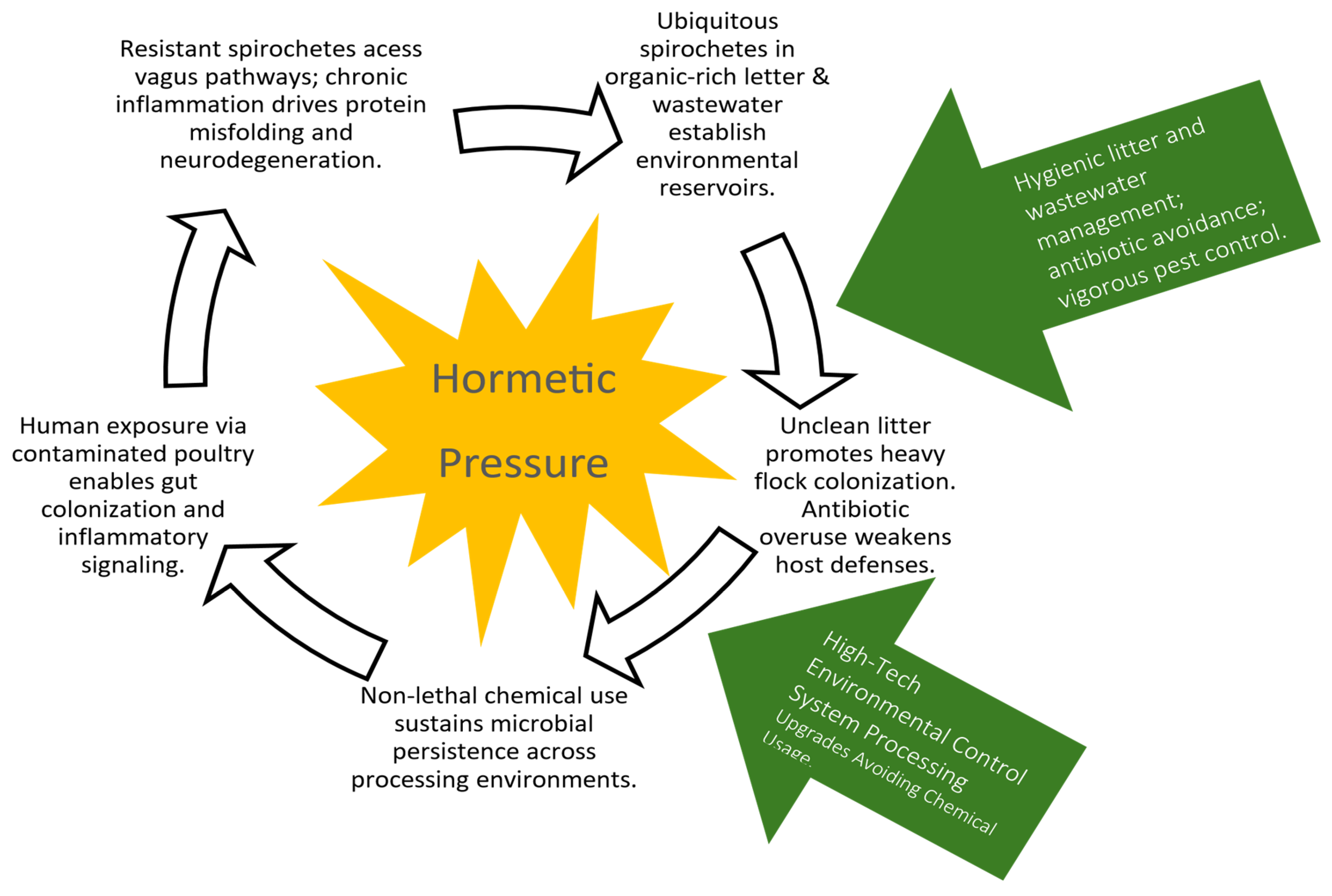 Preprints 195415 g004