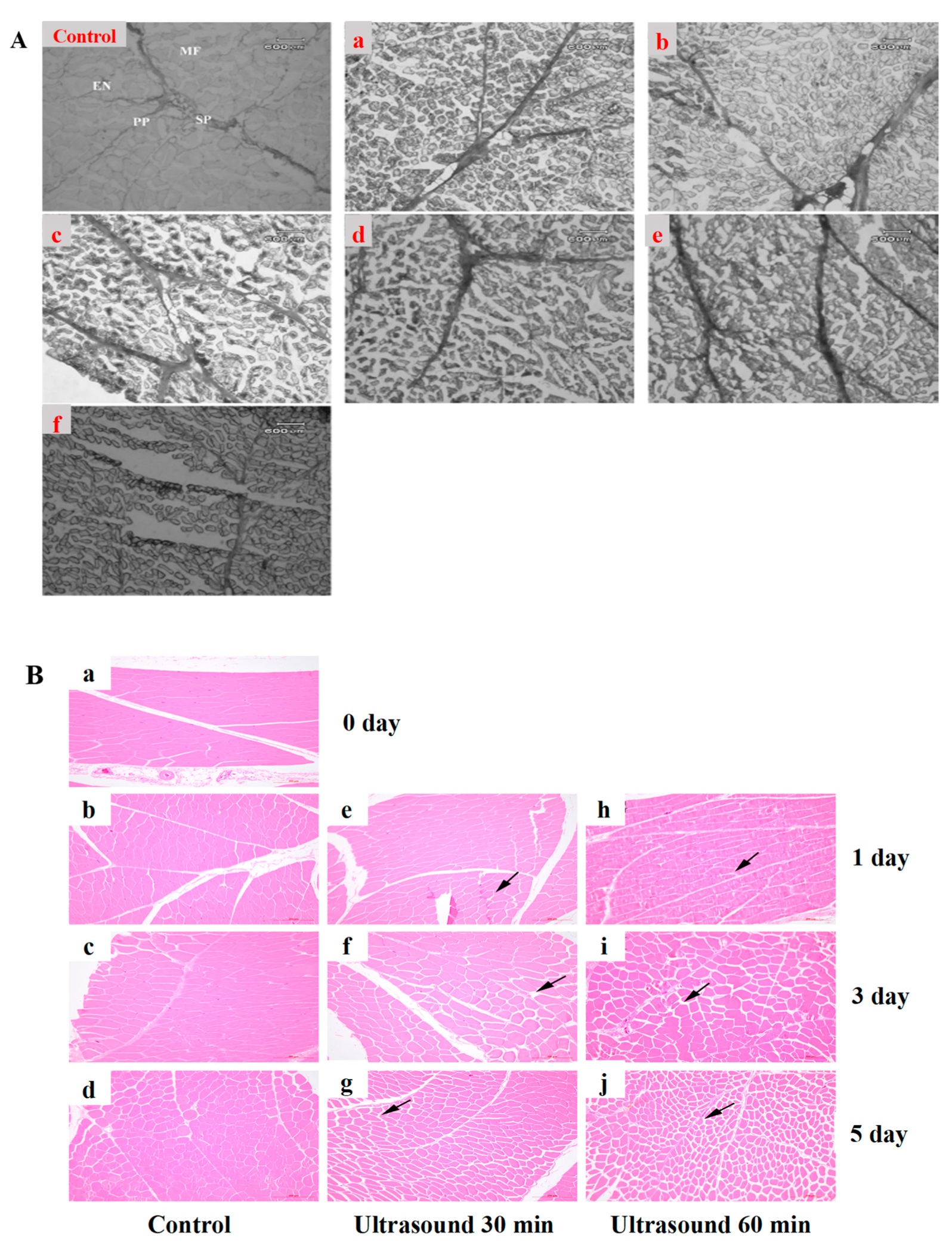 Preprints 204316 g002