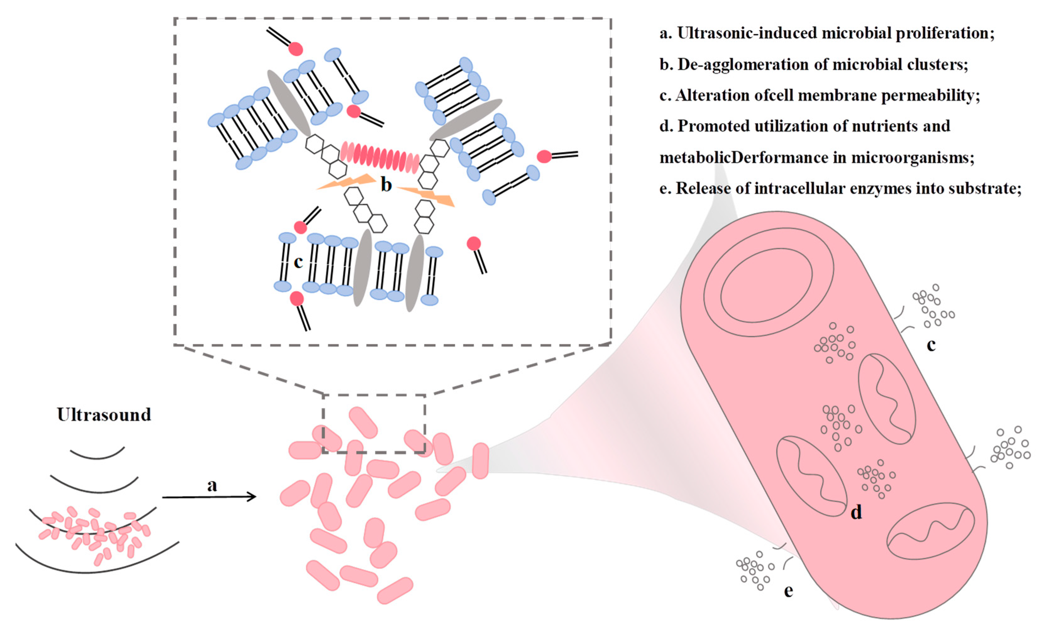 Preprints 204316 g006