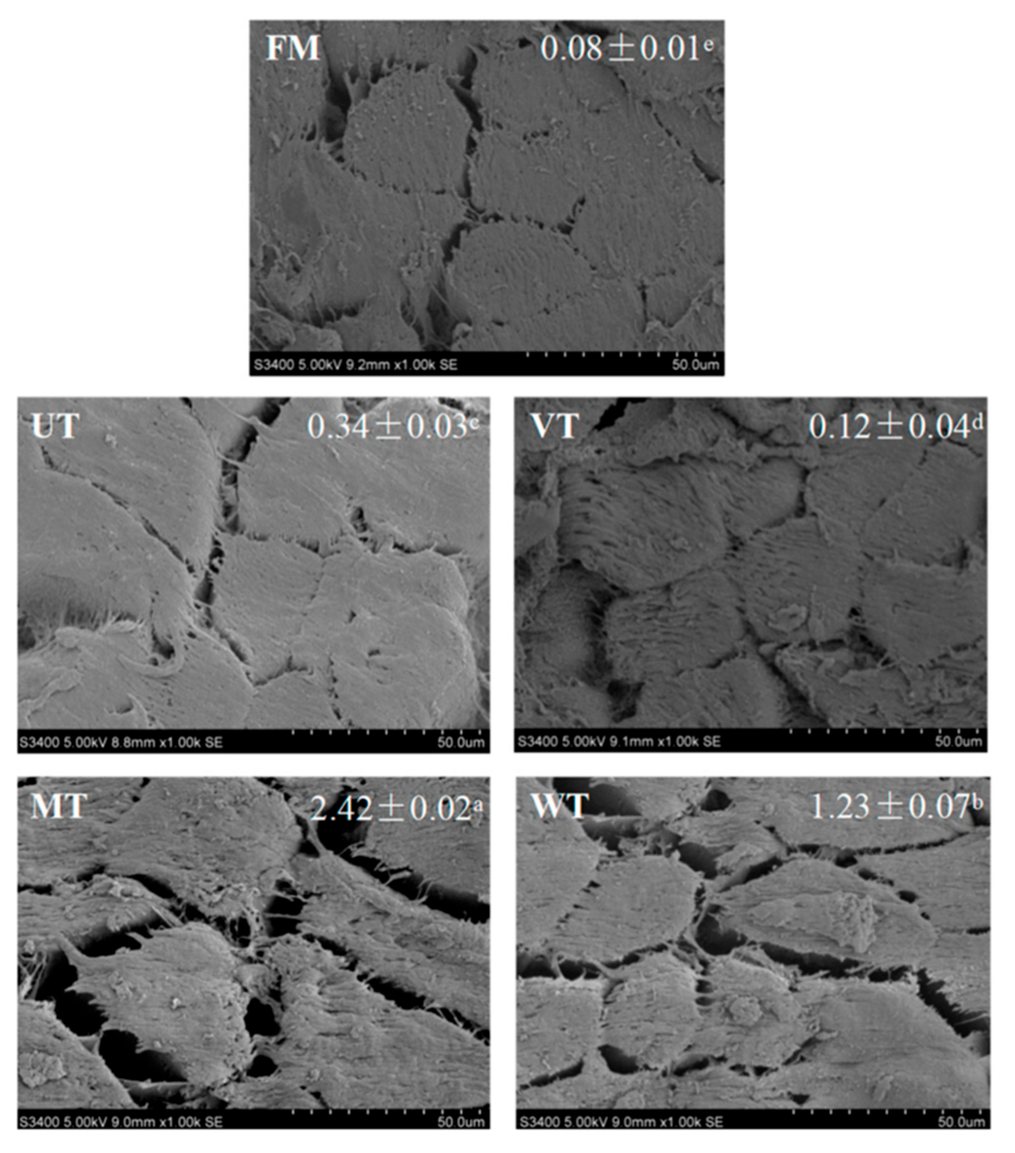 Preprints 204316 g007