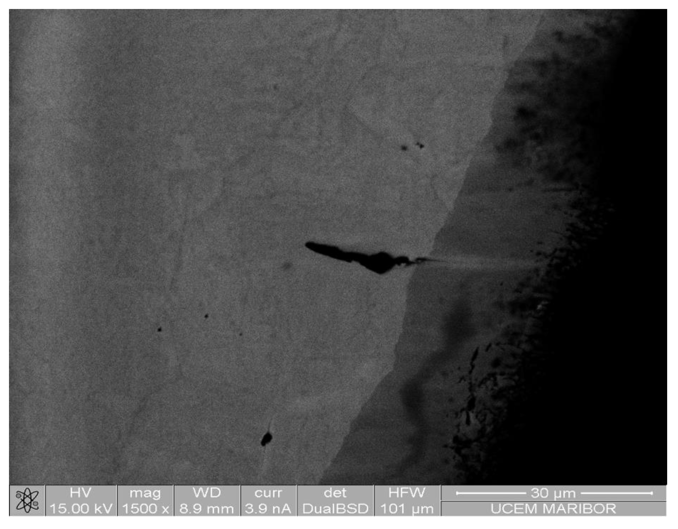 Preprints 166721 g005