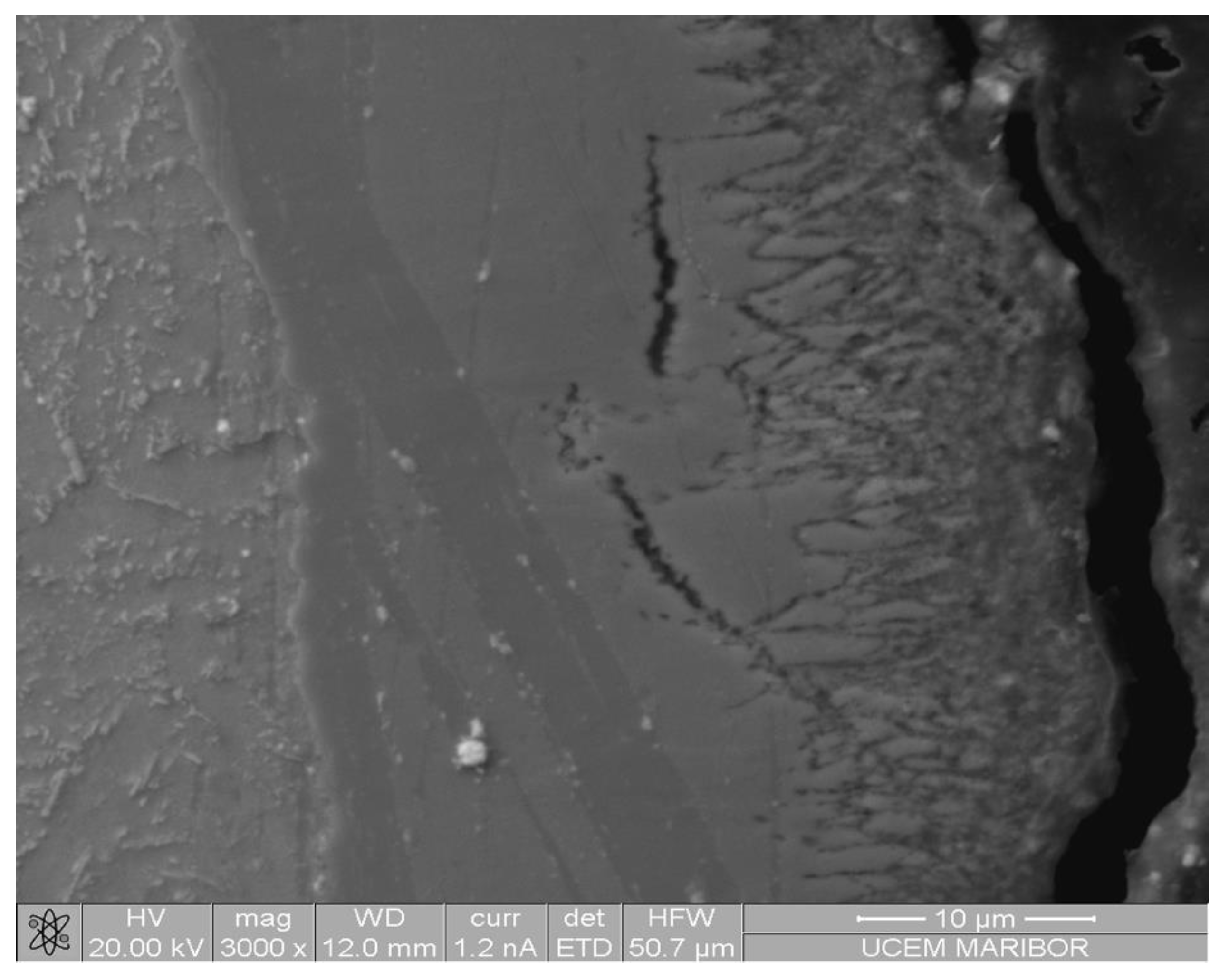 Preprints 166721 g006