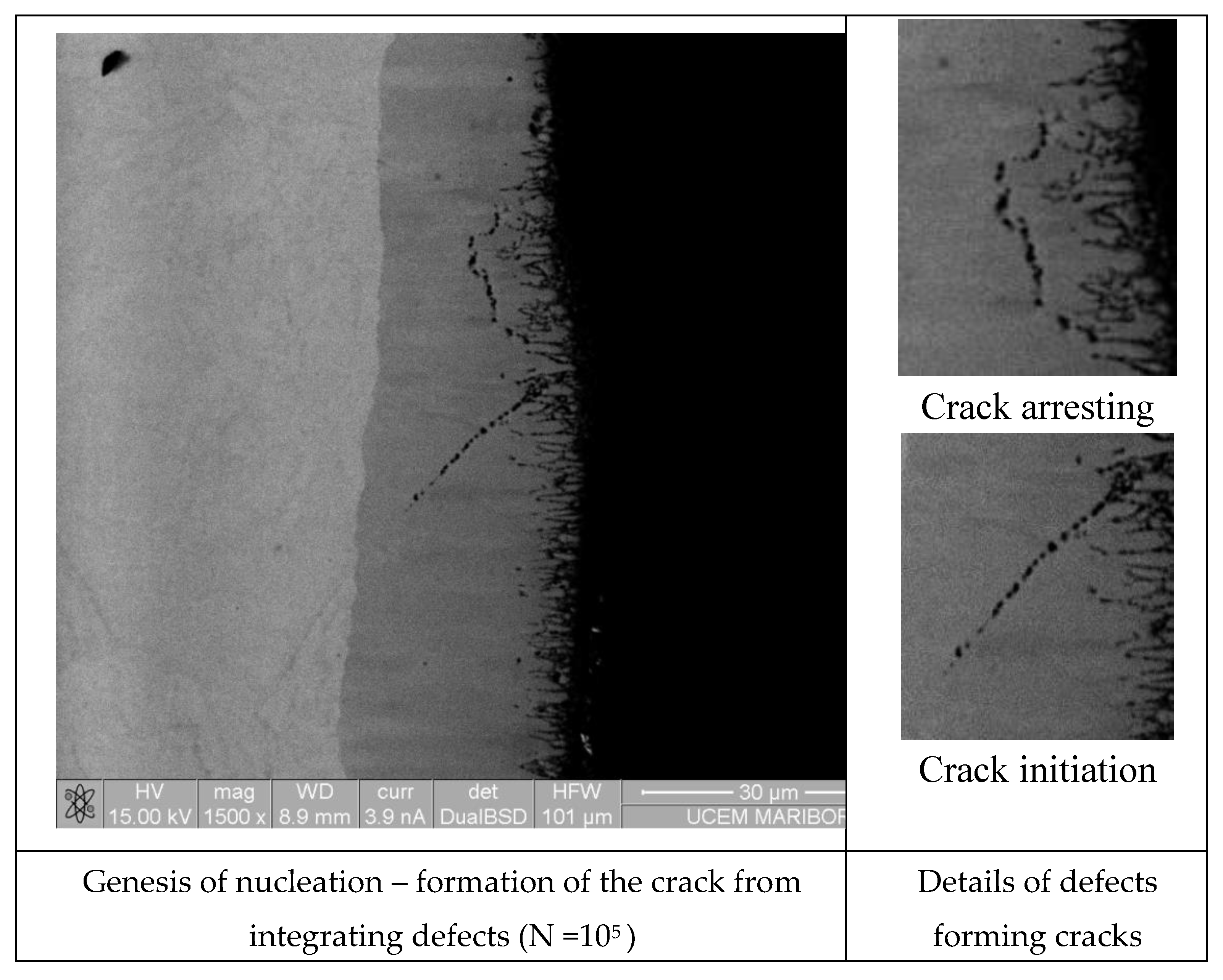 Preprints 166721 g007