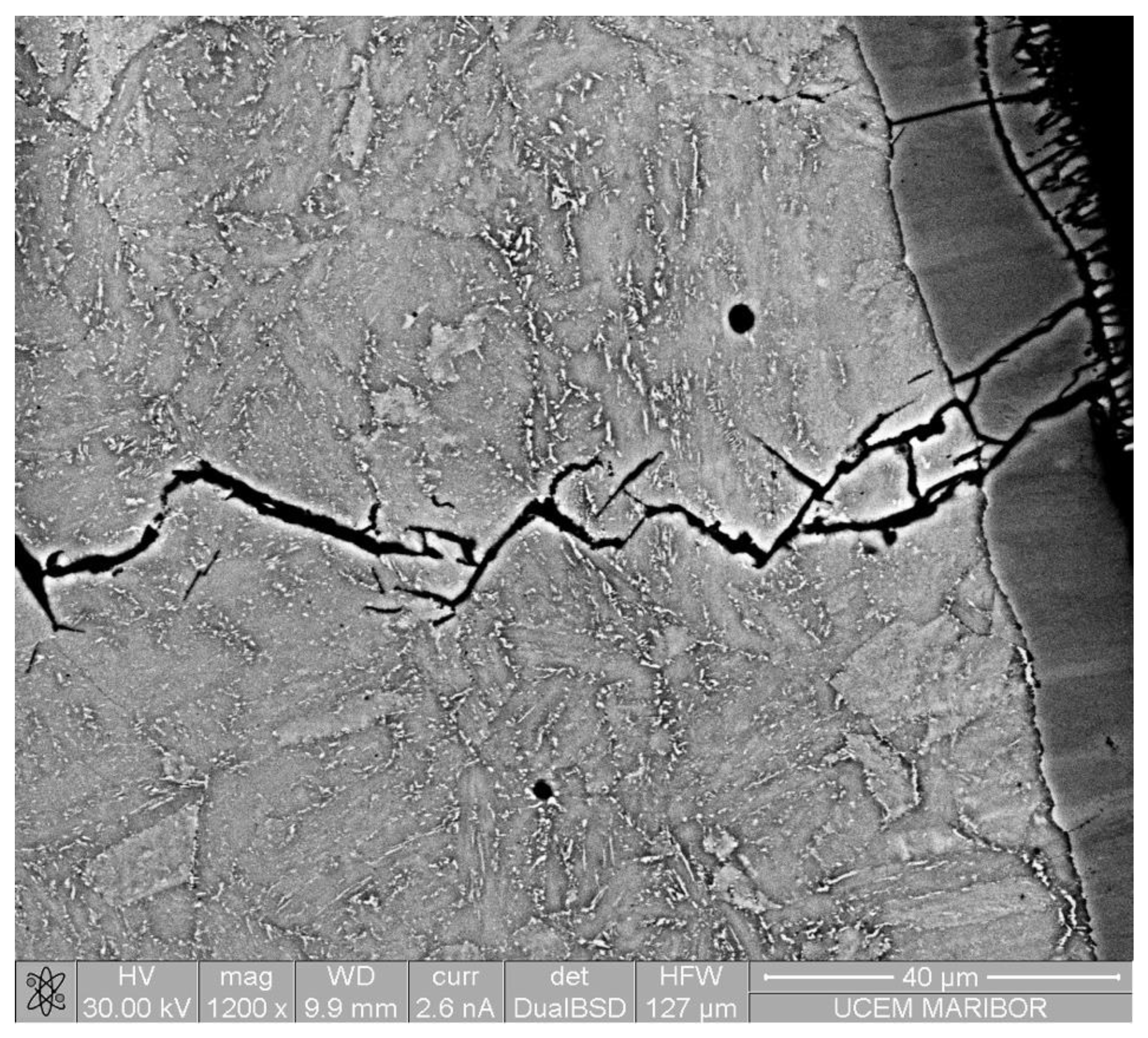 Preprints 166721 g008