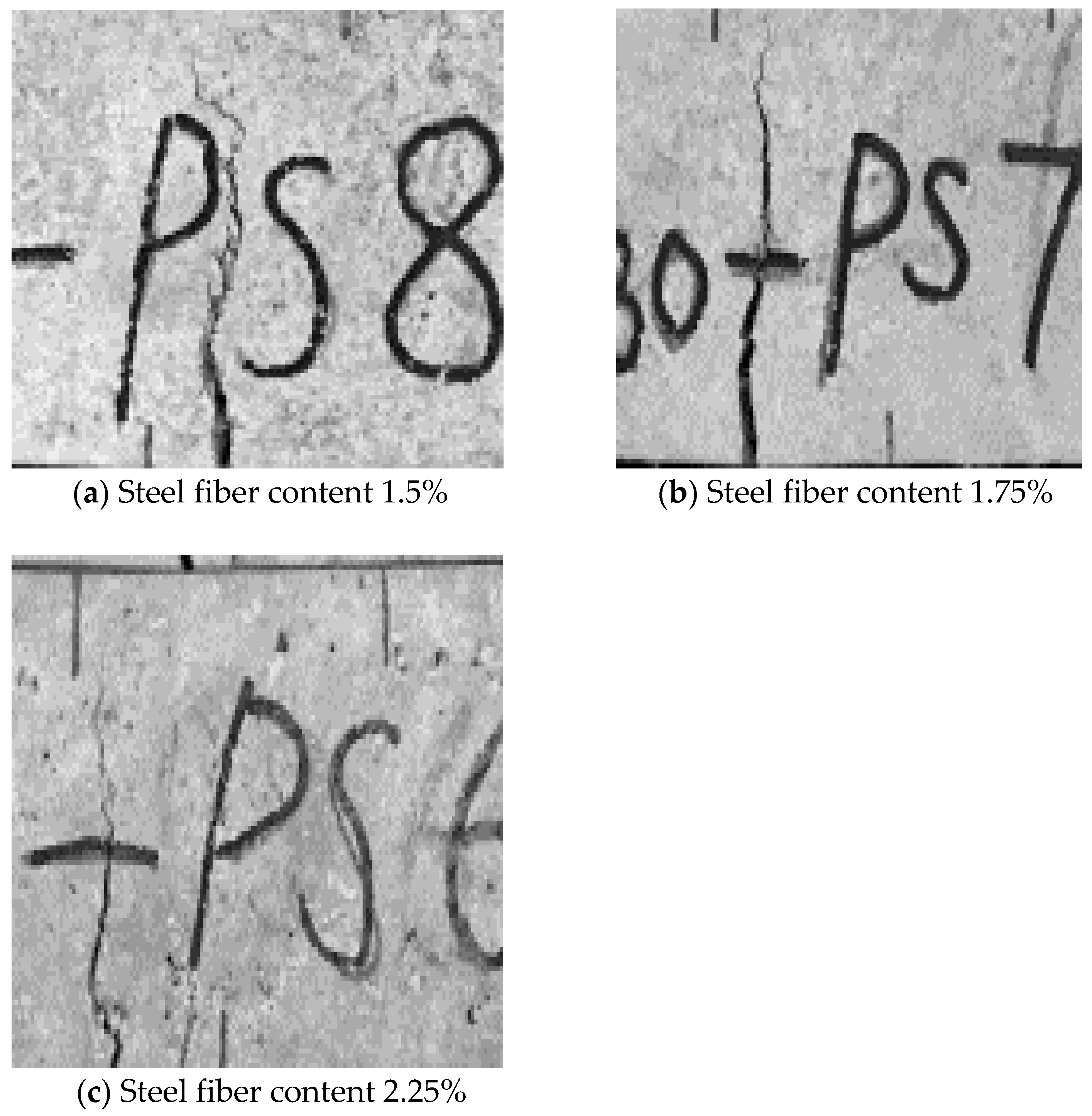 Preprints 143569 g004